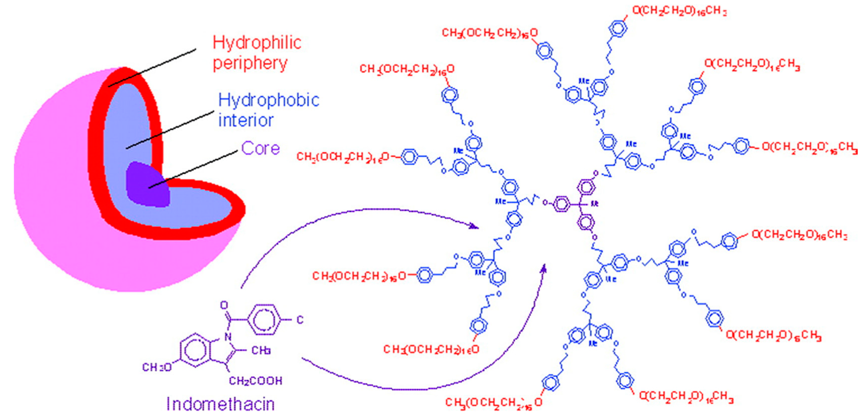 Biomolecules 10 00642 g014