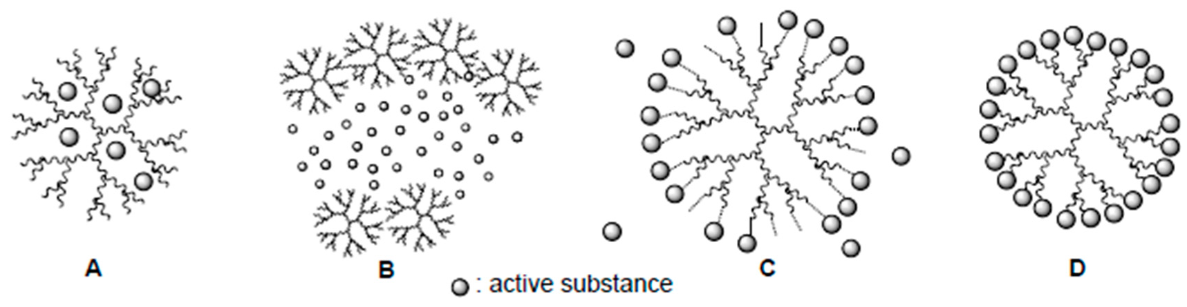 Biomolecules 10 00642 g017