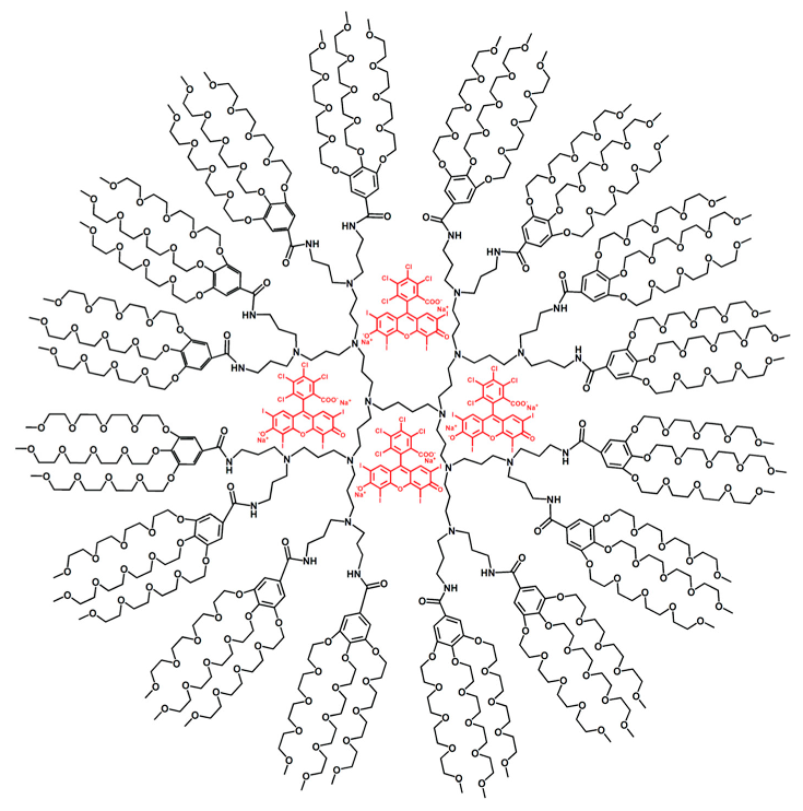 Biomolecules 10 00642 g019