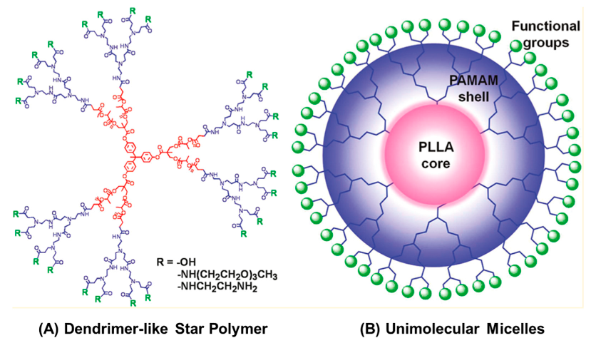 Biomolecules 10 00642 g021