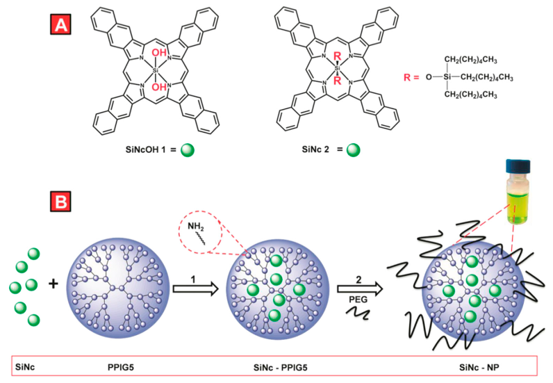 Biomolecules 10 00642 g024