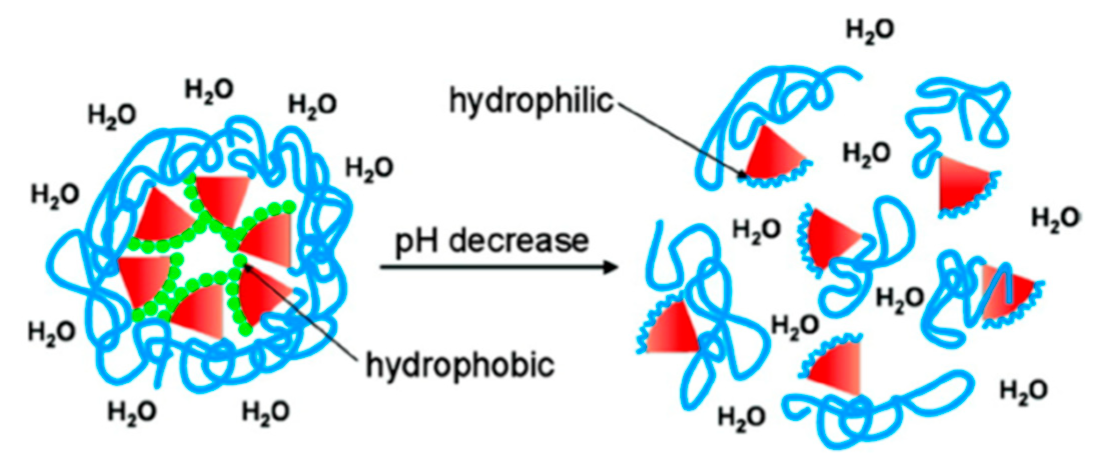 Biomolecules 10 00642 g038