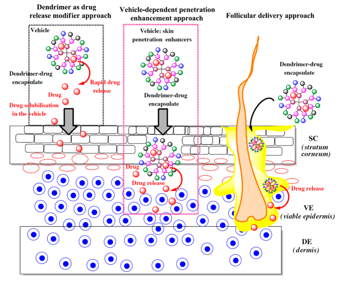 Biomolecules 10 00642 g041