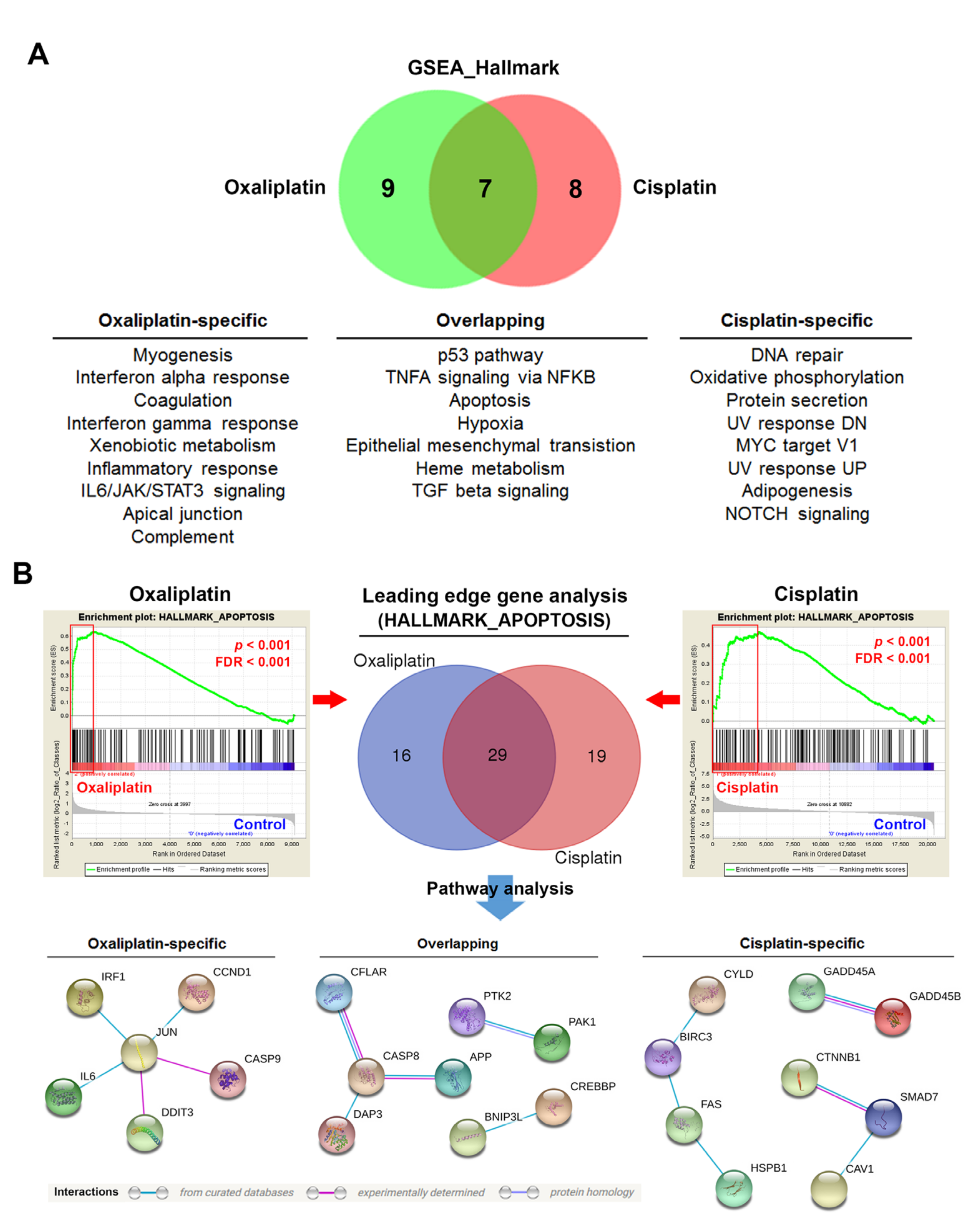Biomolecules 10 00643 g003 Biomolecules 10 00643 g003