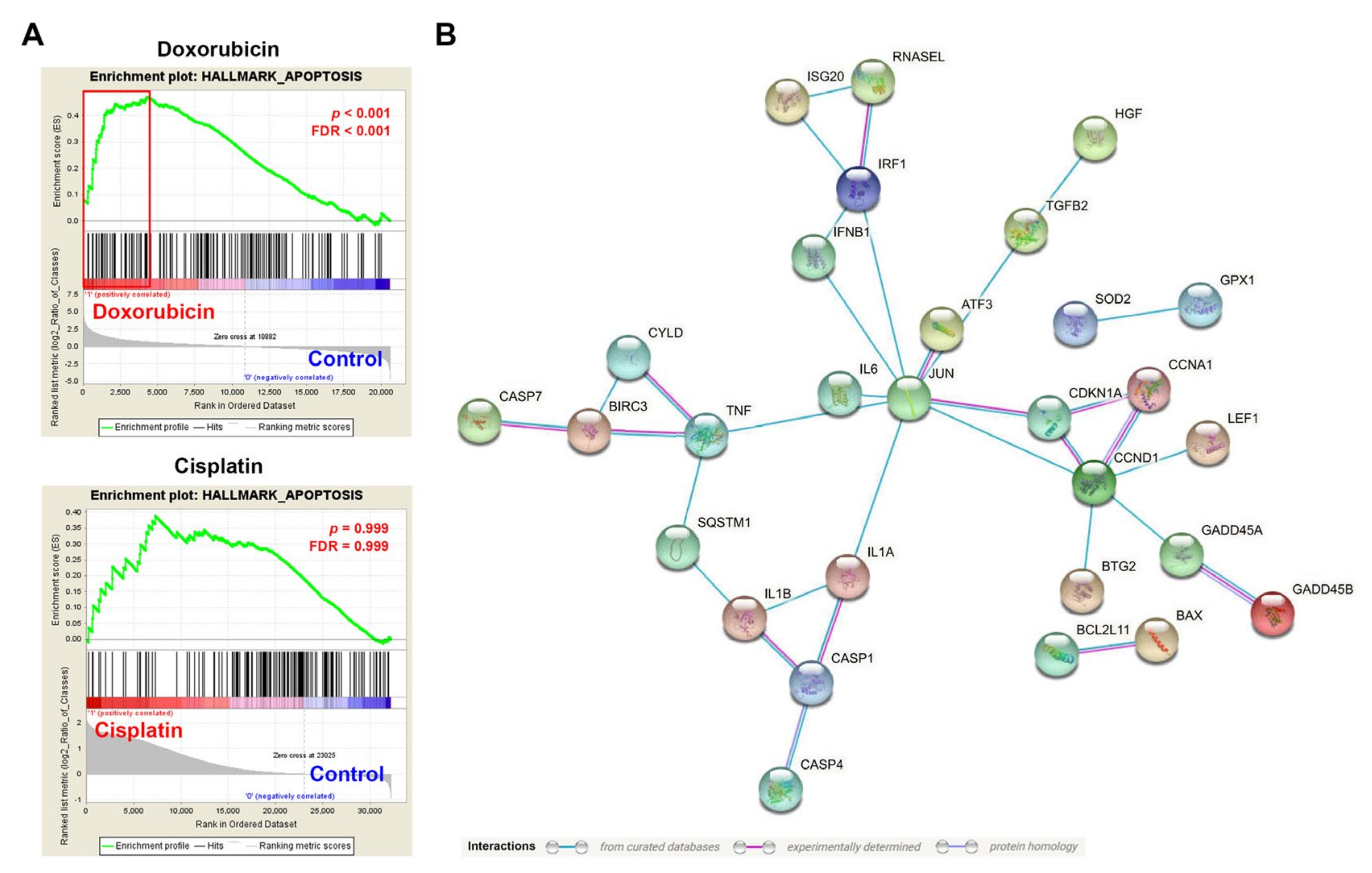 Biomolecules 10 00643 g004 Biomolecules 10 00643 g004