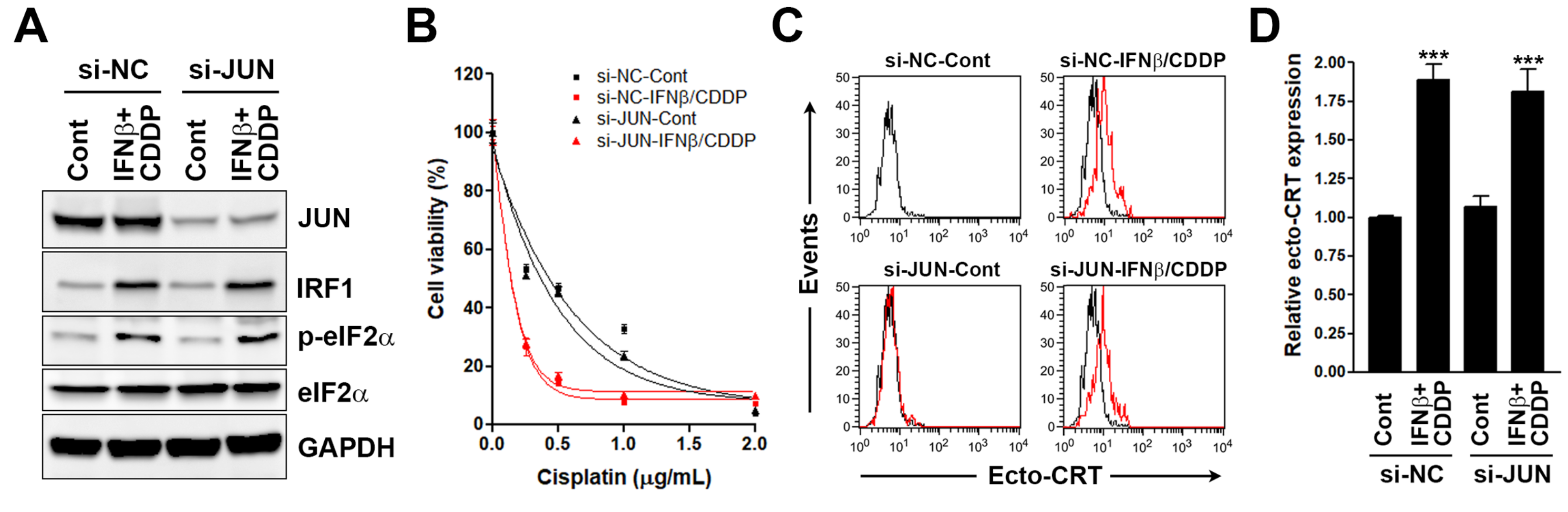 Biomolecules 10 00643 g005 Biomolecules 10 00643 g005
