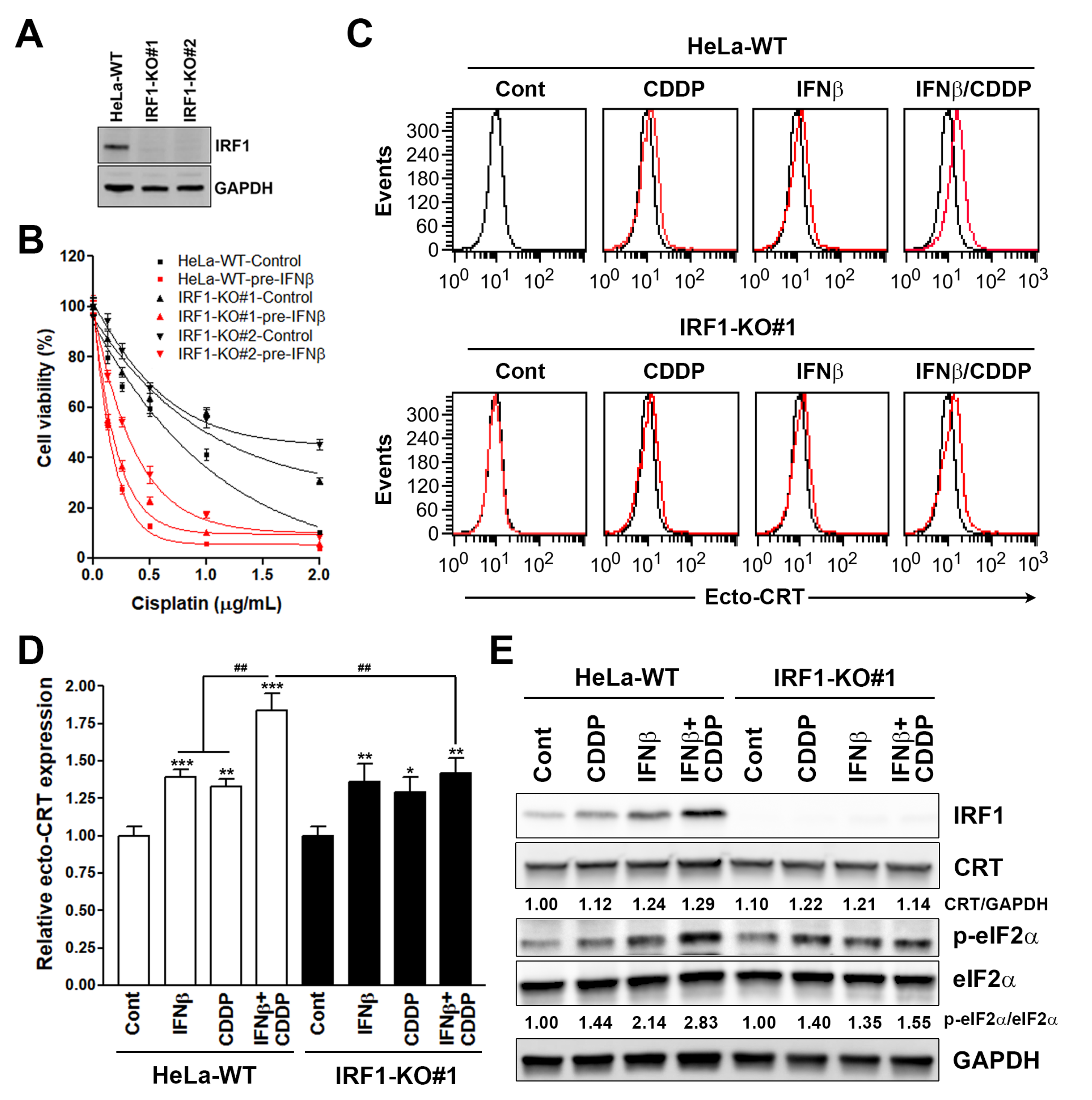 Biomolecules 10 00643 g006 Biomolecules 10 00643 g006