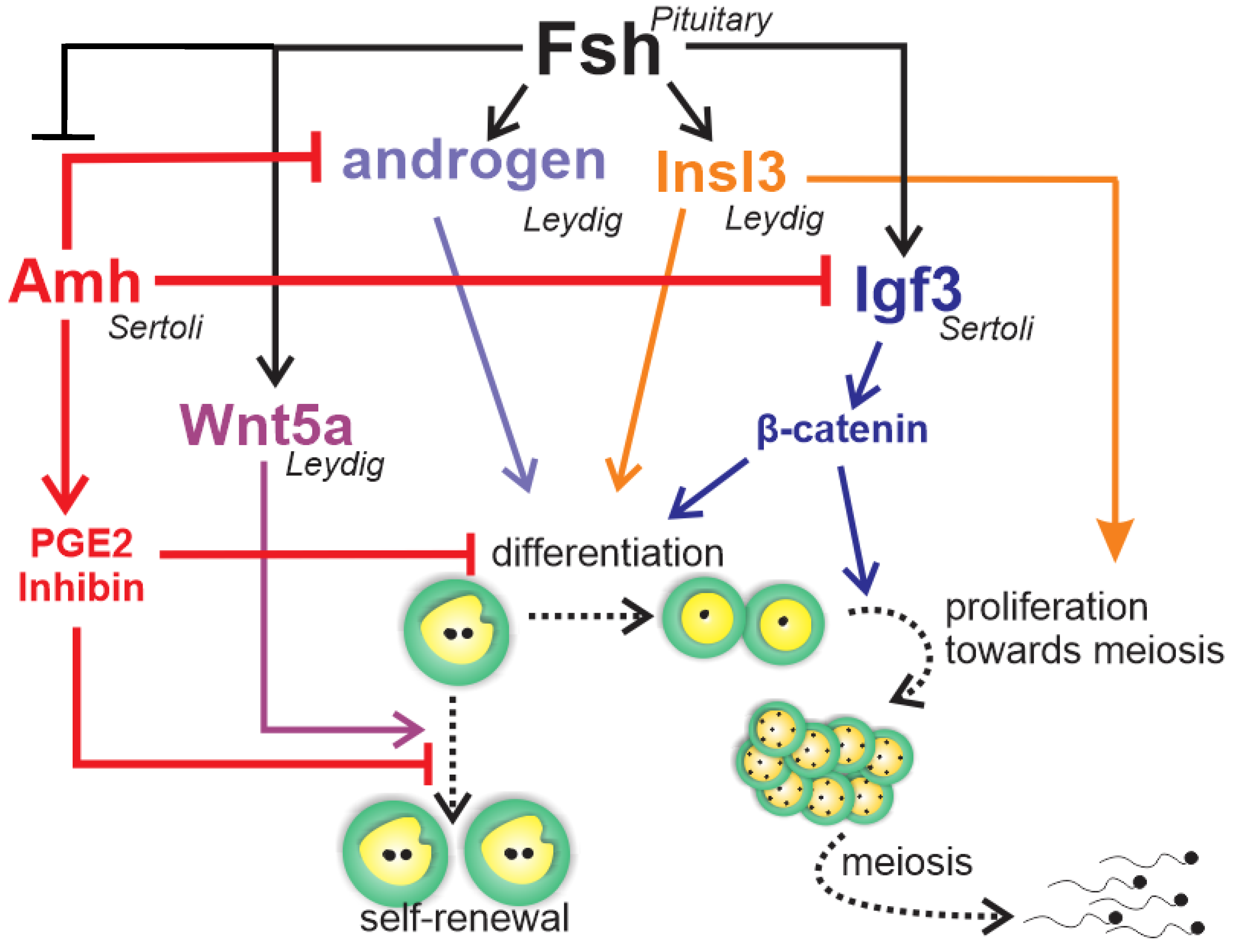 Biomolecules 10 00644 g006
