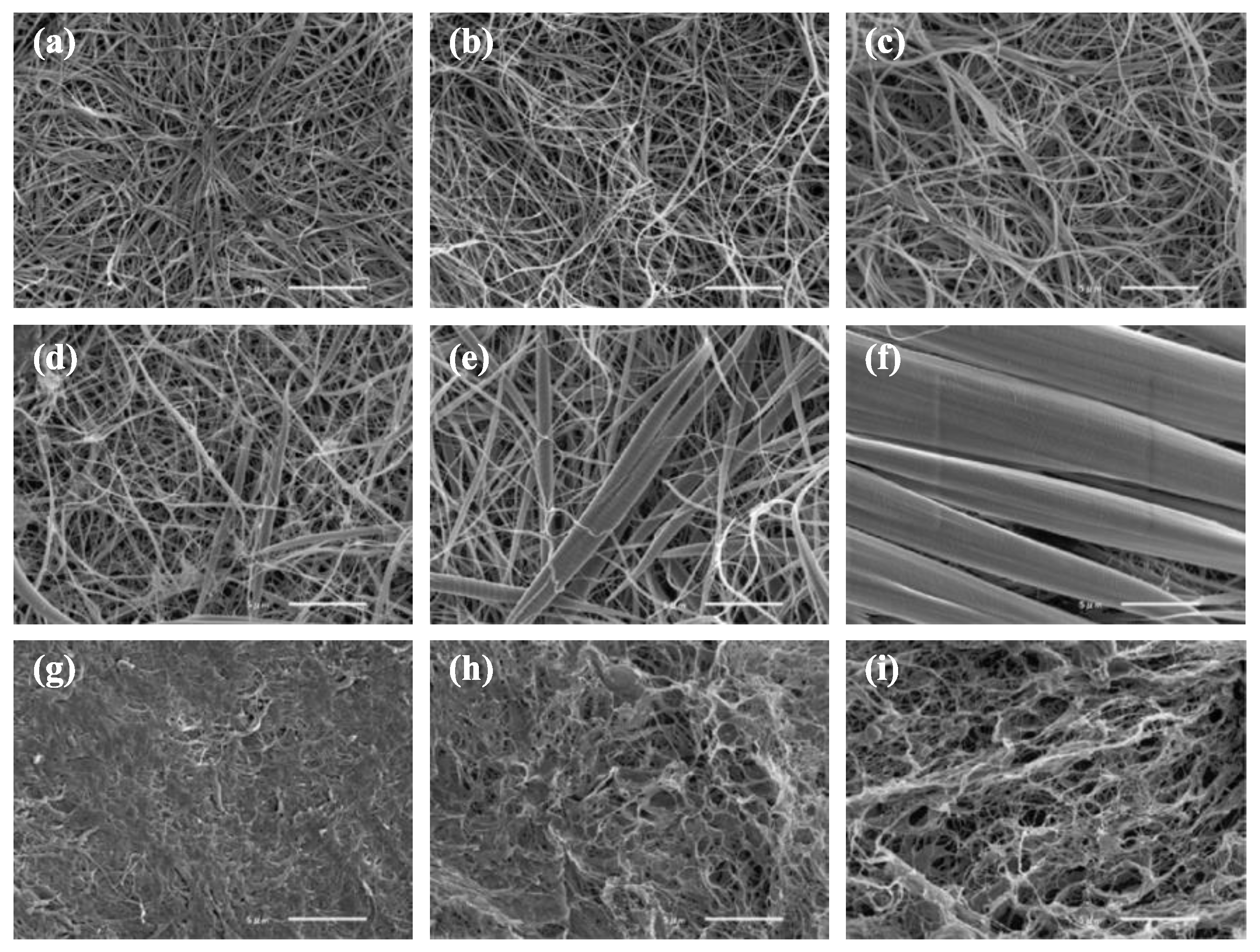 Biomolecules 10 00644 g008