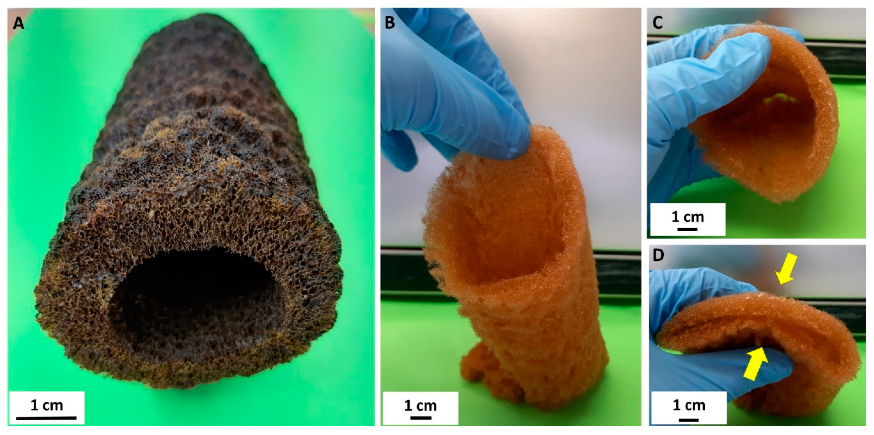 Biomolecules 10 00646 g001