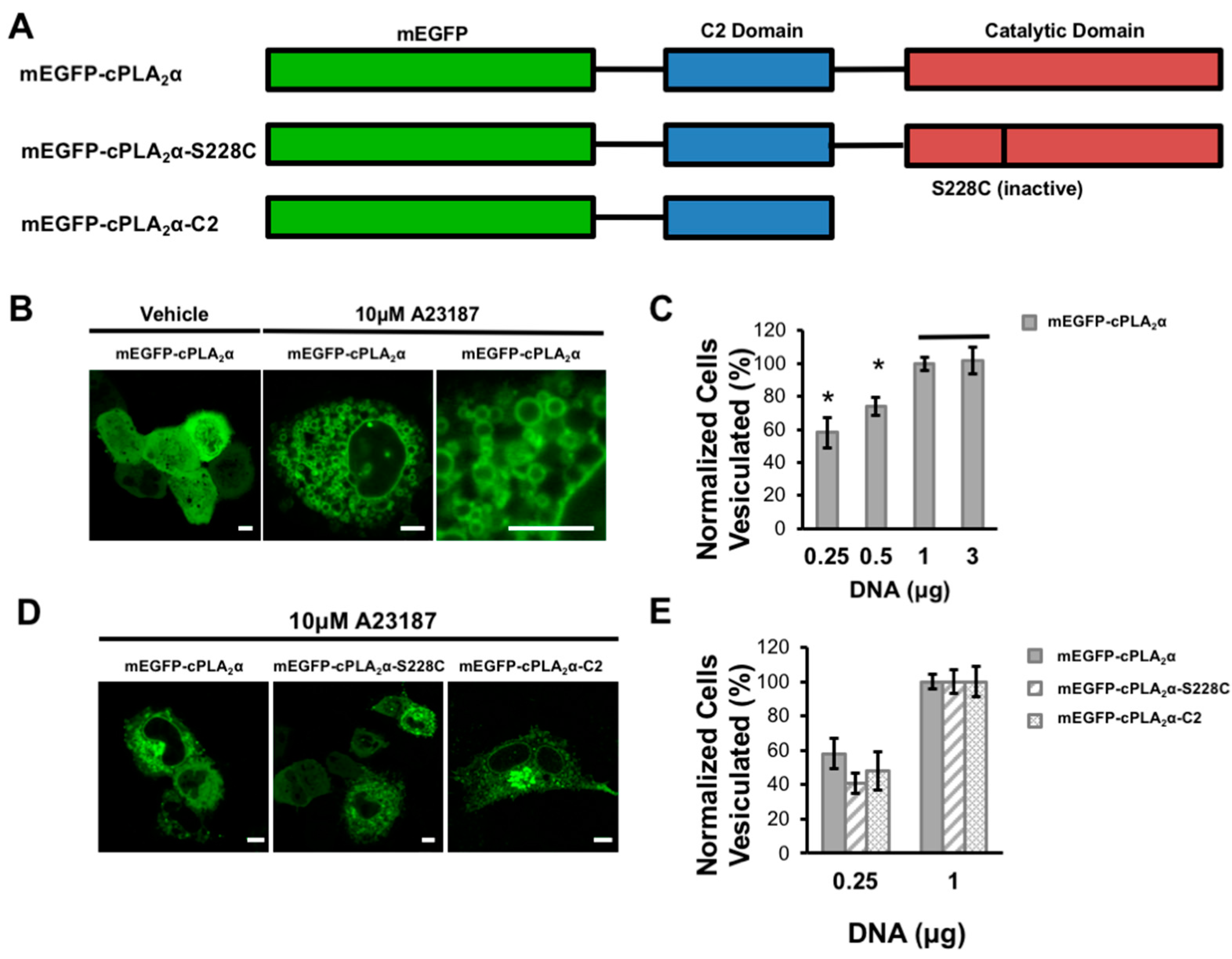 Biomolecules 10 00647 g001