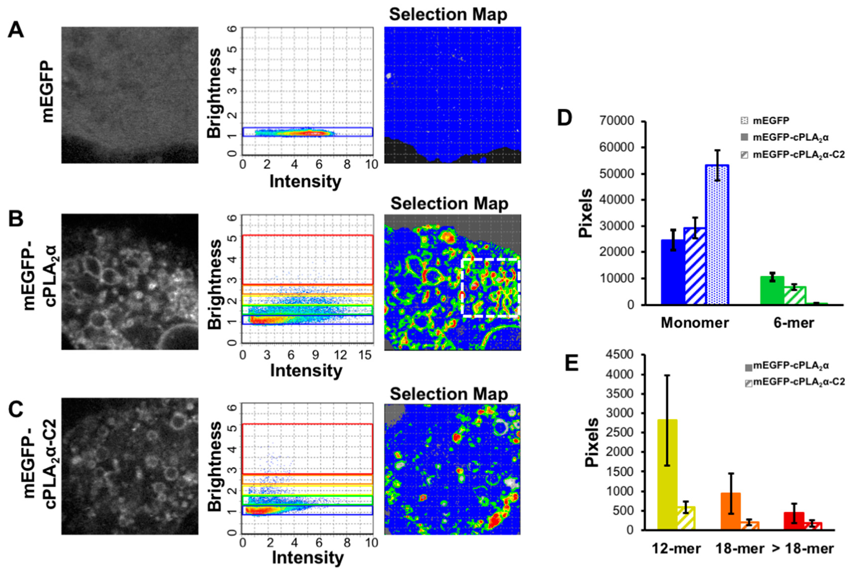 Biomolecules 10 00647 g002