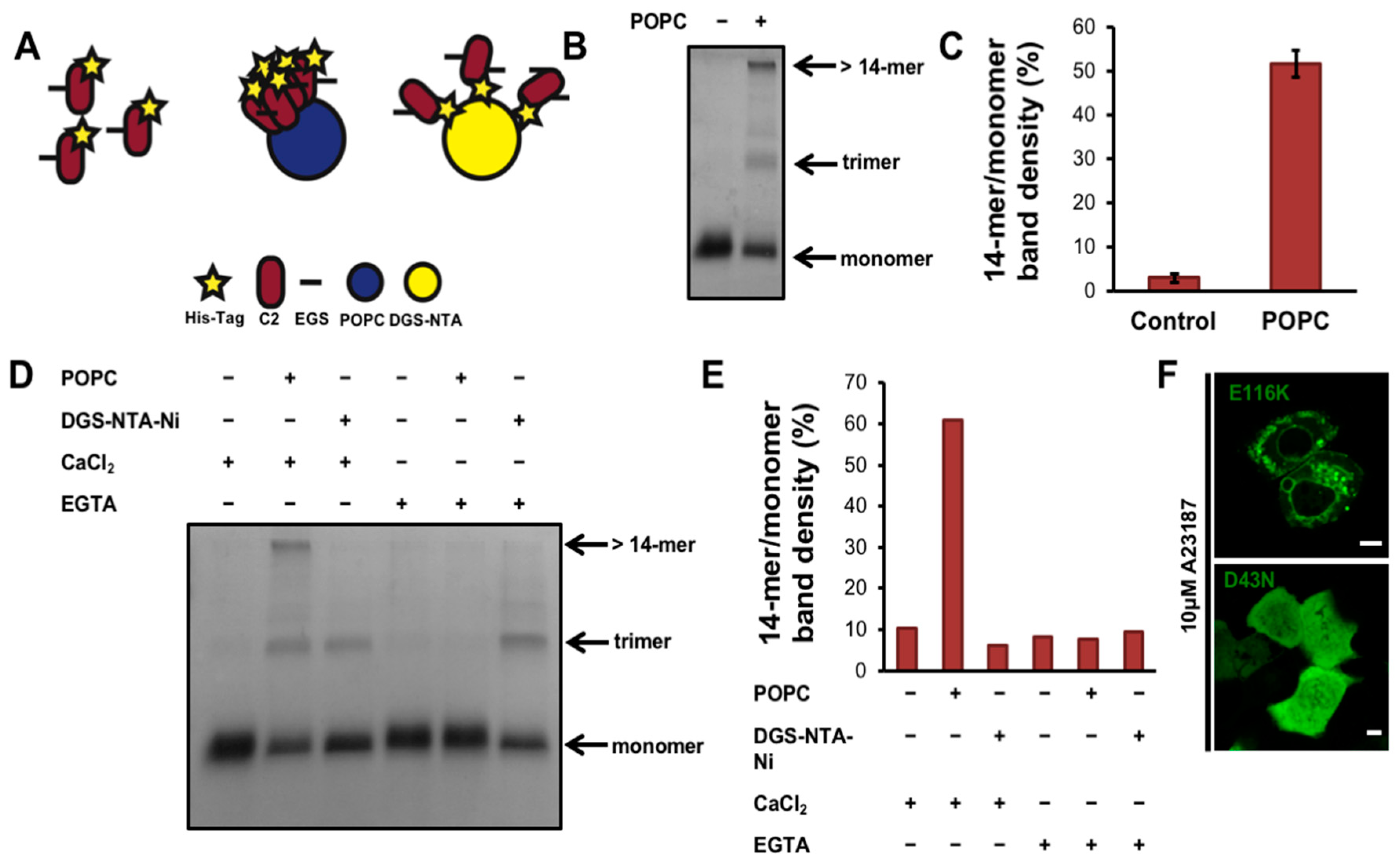 Biomolecules 10 00647 g003