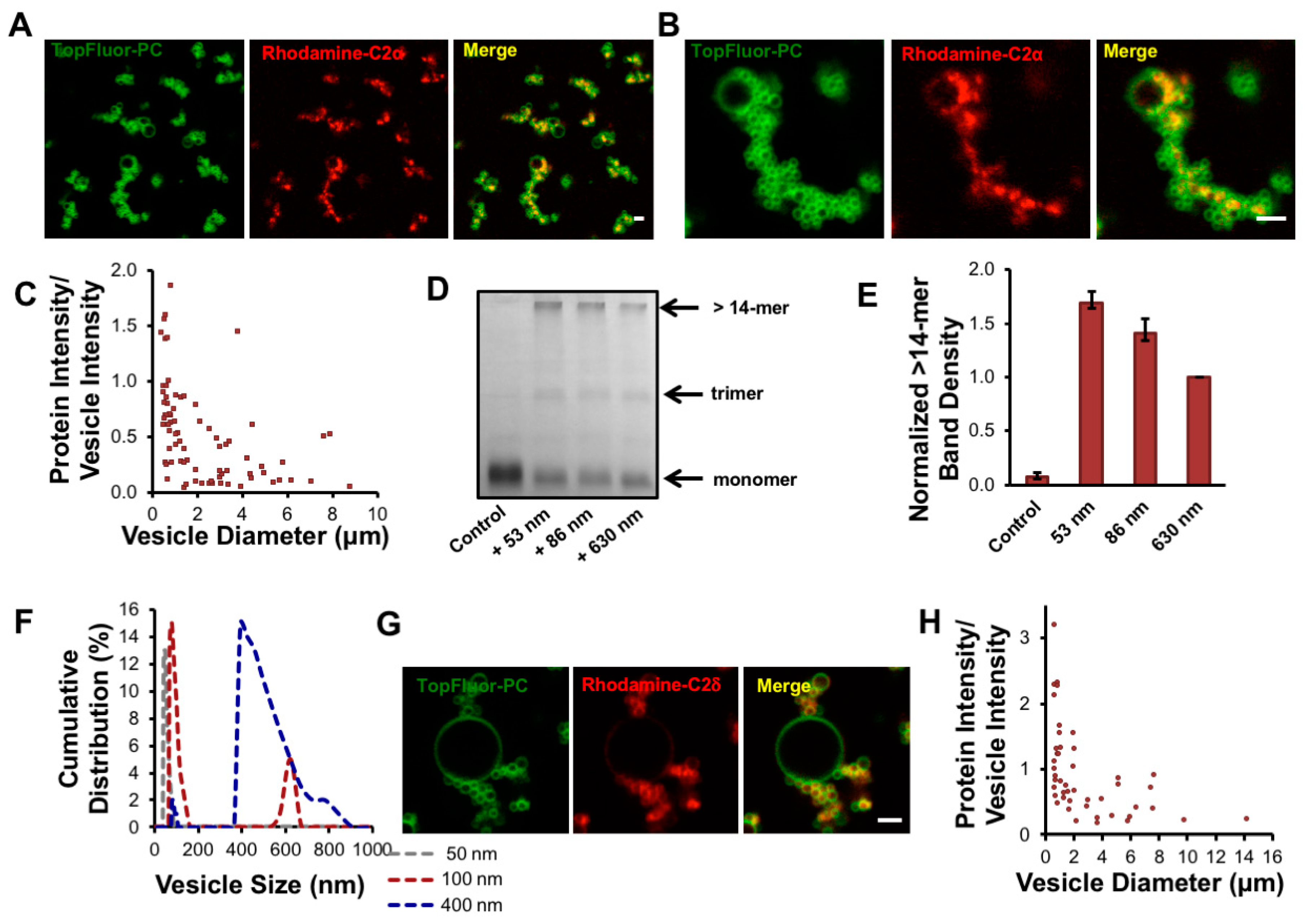 Biomolecules 10 00647 g004
