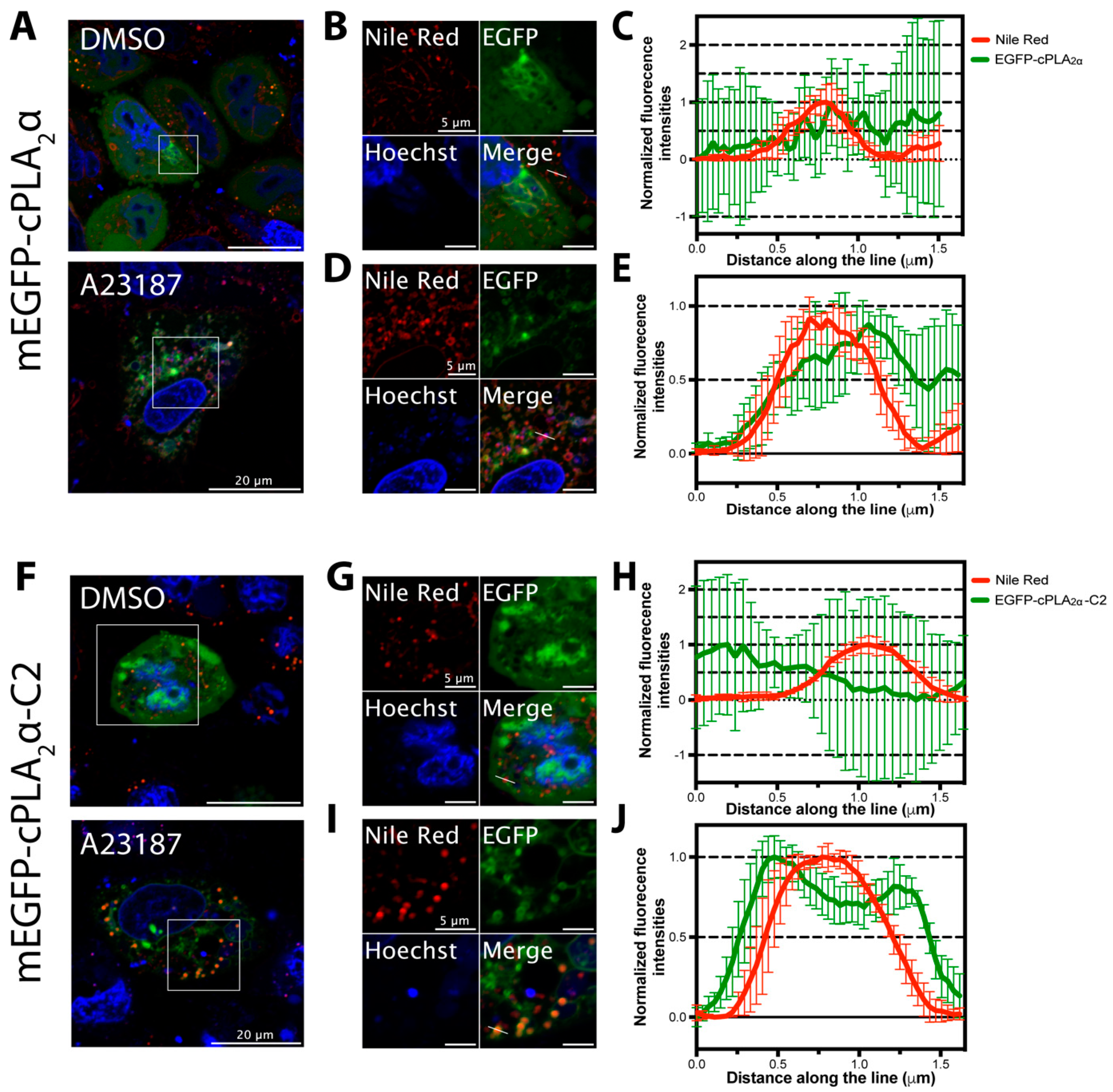 Biomolecules 10 00647 g008