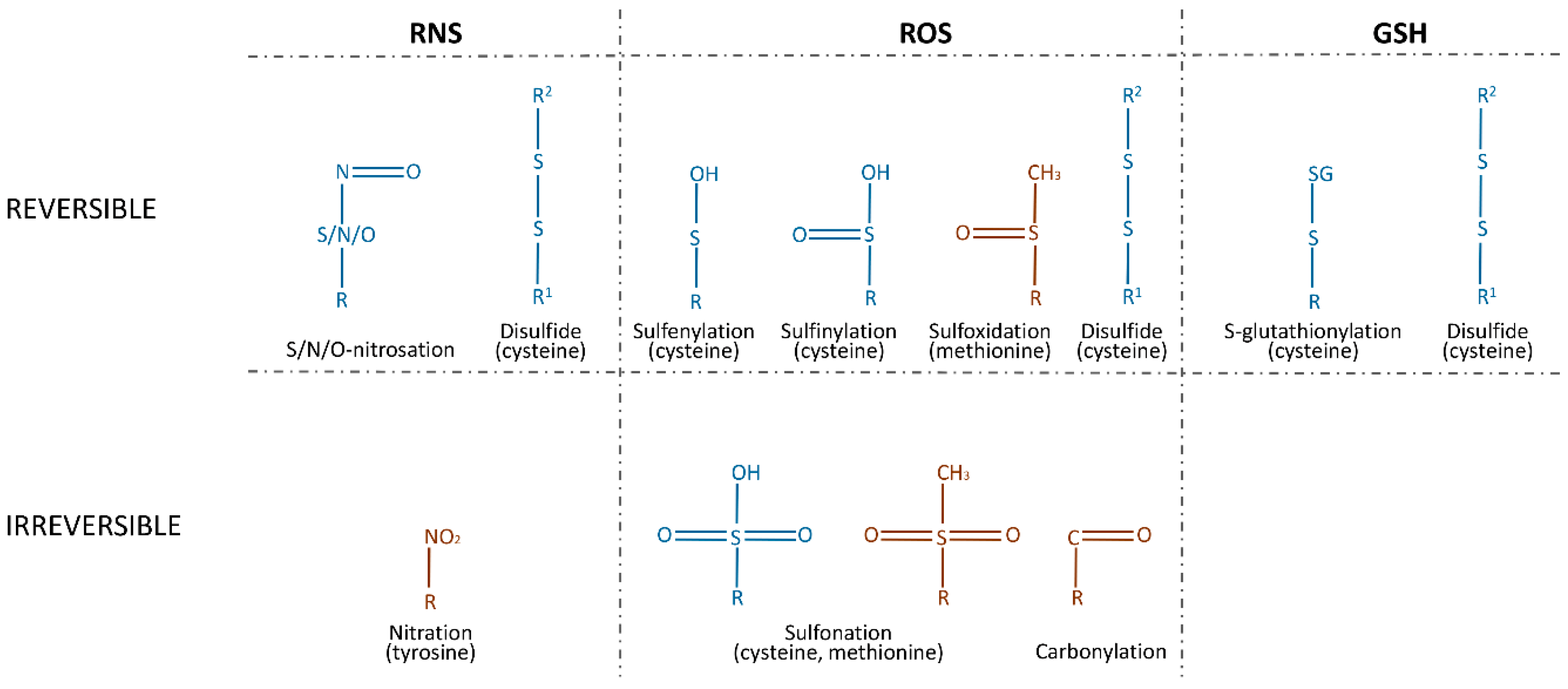 Biomolecules 10 00650 g001 Biomolecules 10 00650 g001