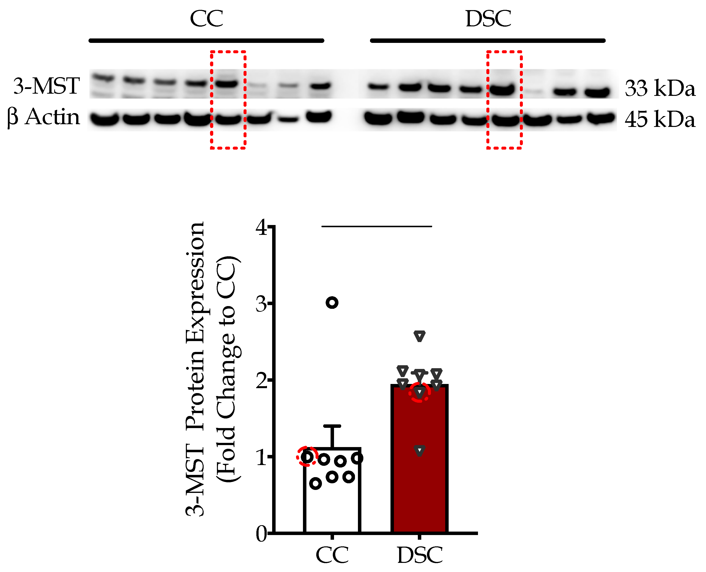 Biomolecules 10 00653 g001 Biomolecules 10 00653 g001