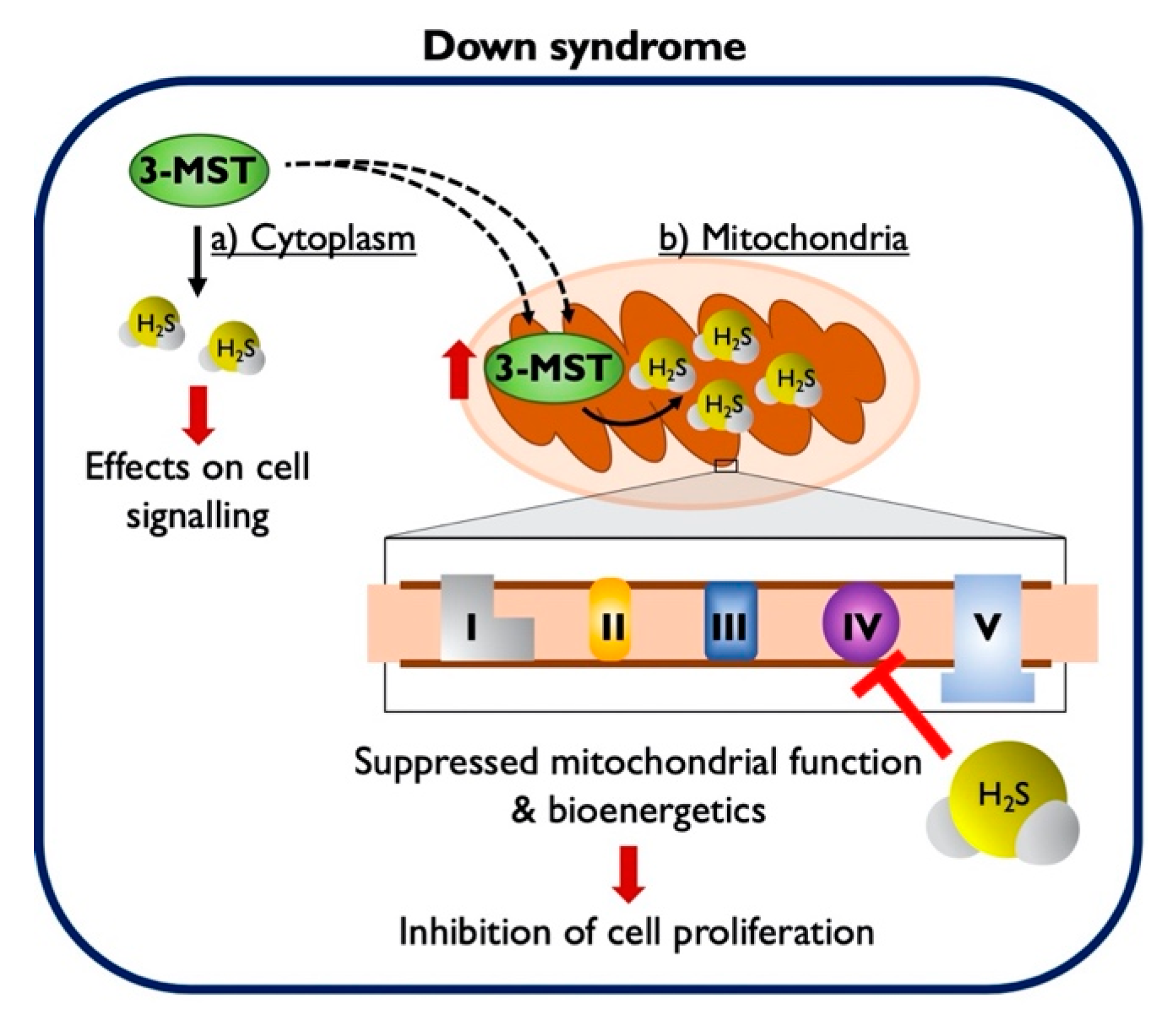 Biomolecules 10 00653 g006 Biomolecules 10 00653 g006