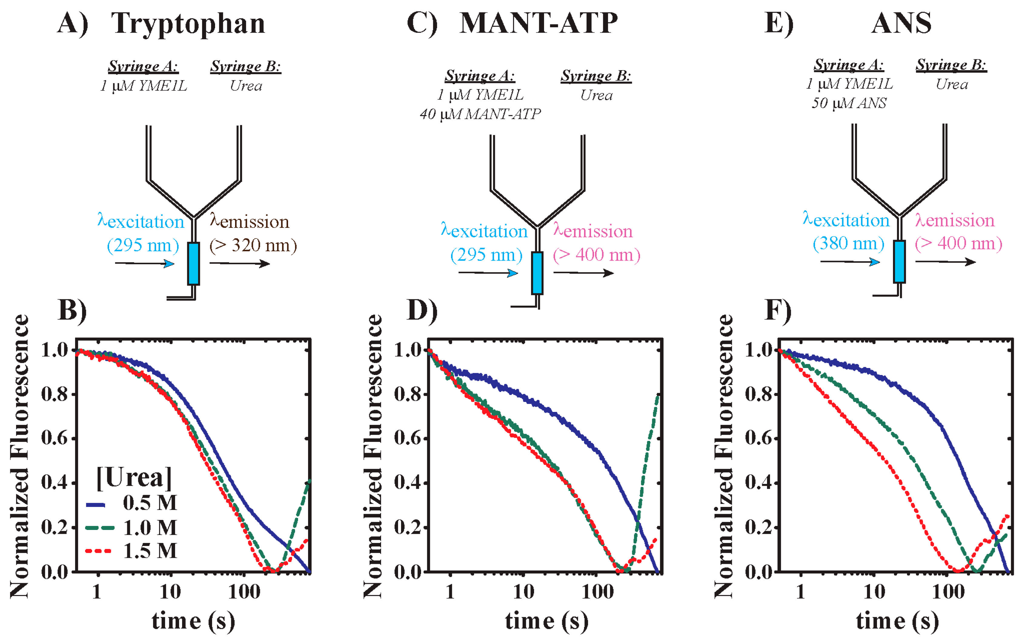 Biomolecules 10 00656 g001