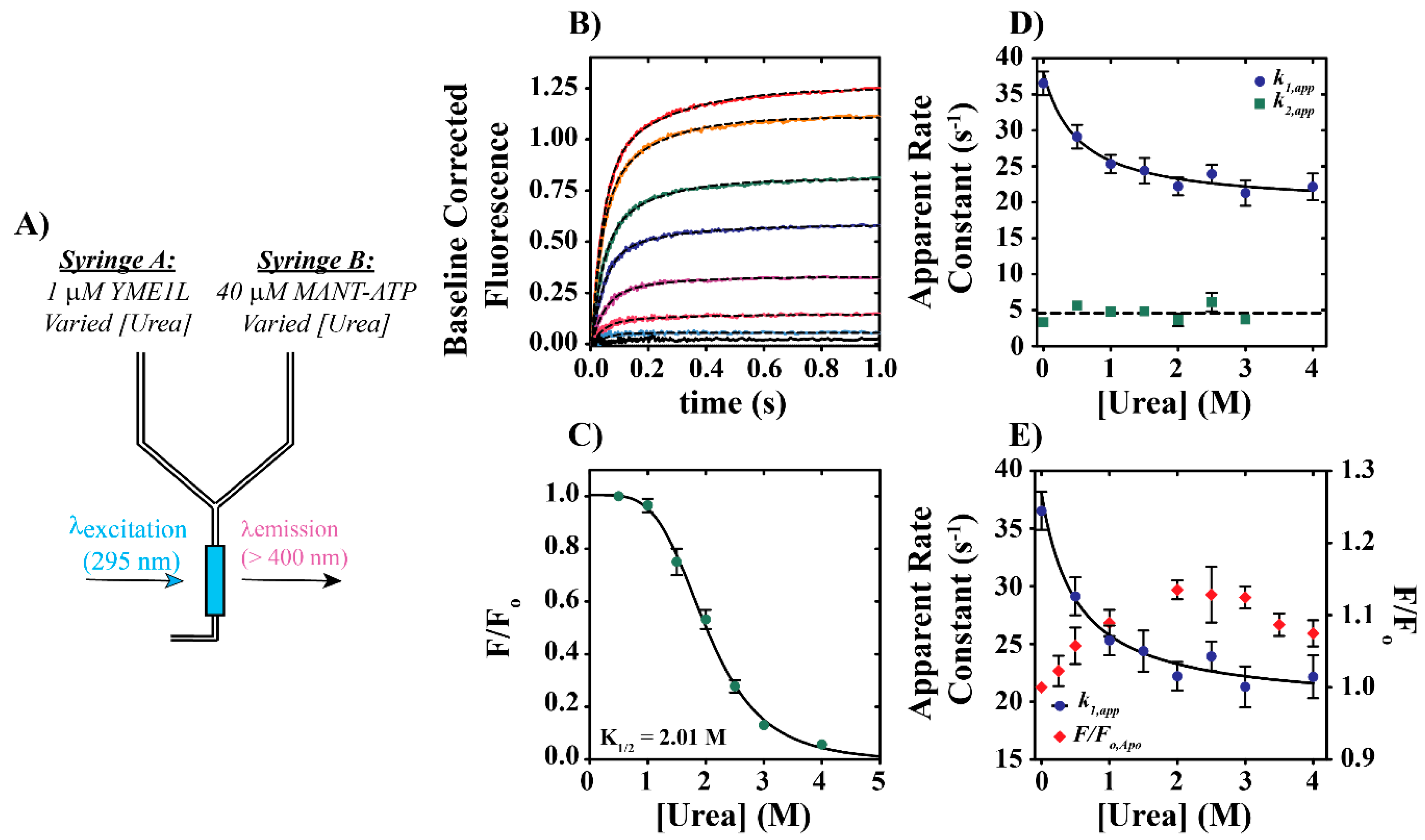 Biomolecules 10 00656 g005