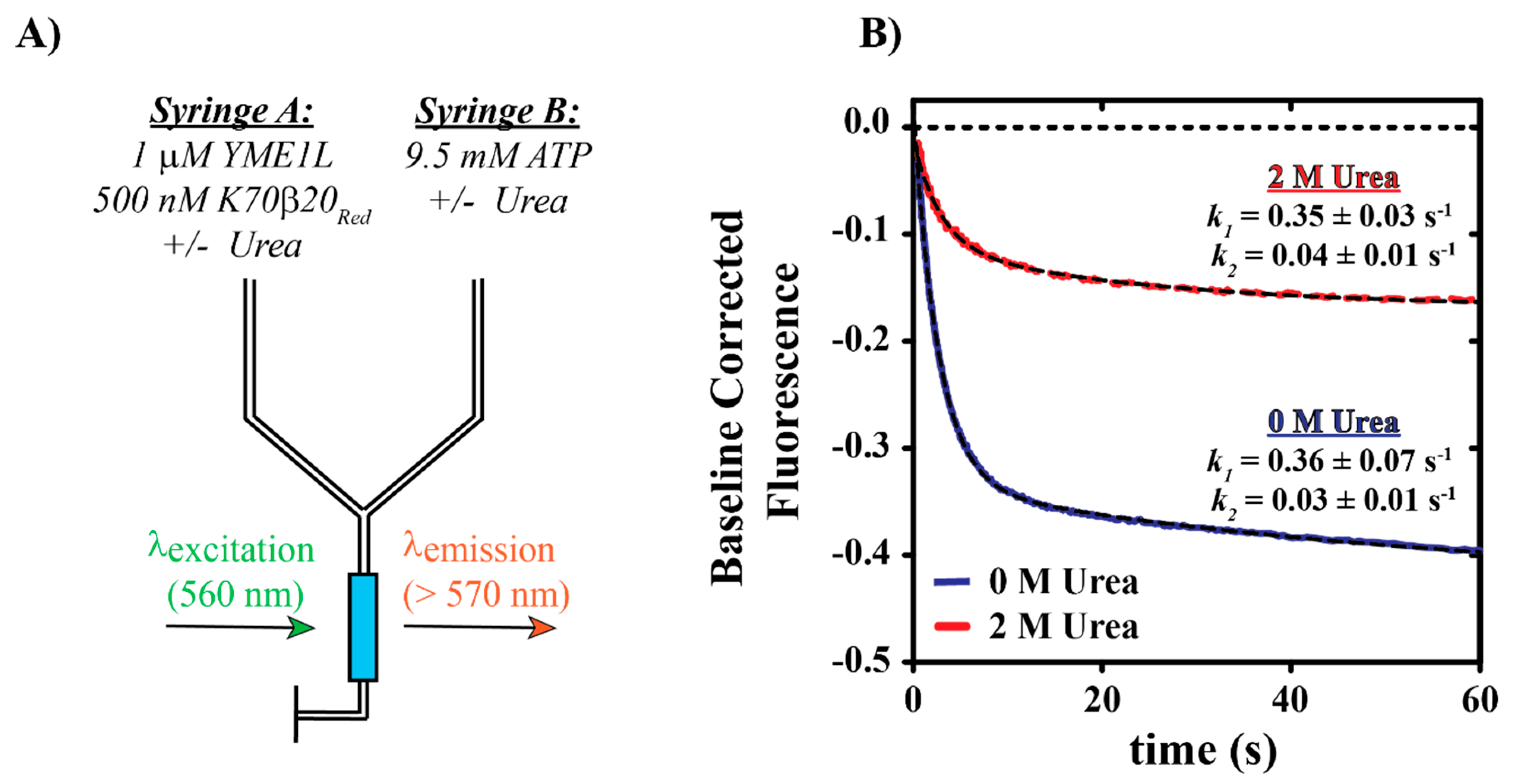 Biomolecules 10 00656 g006