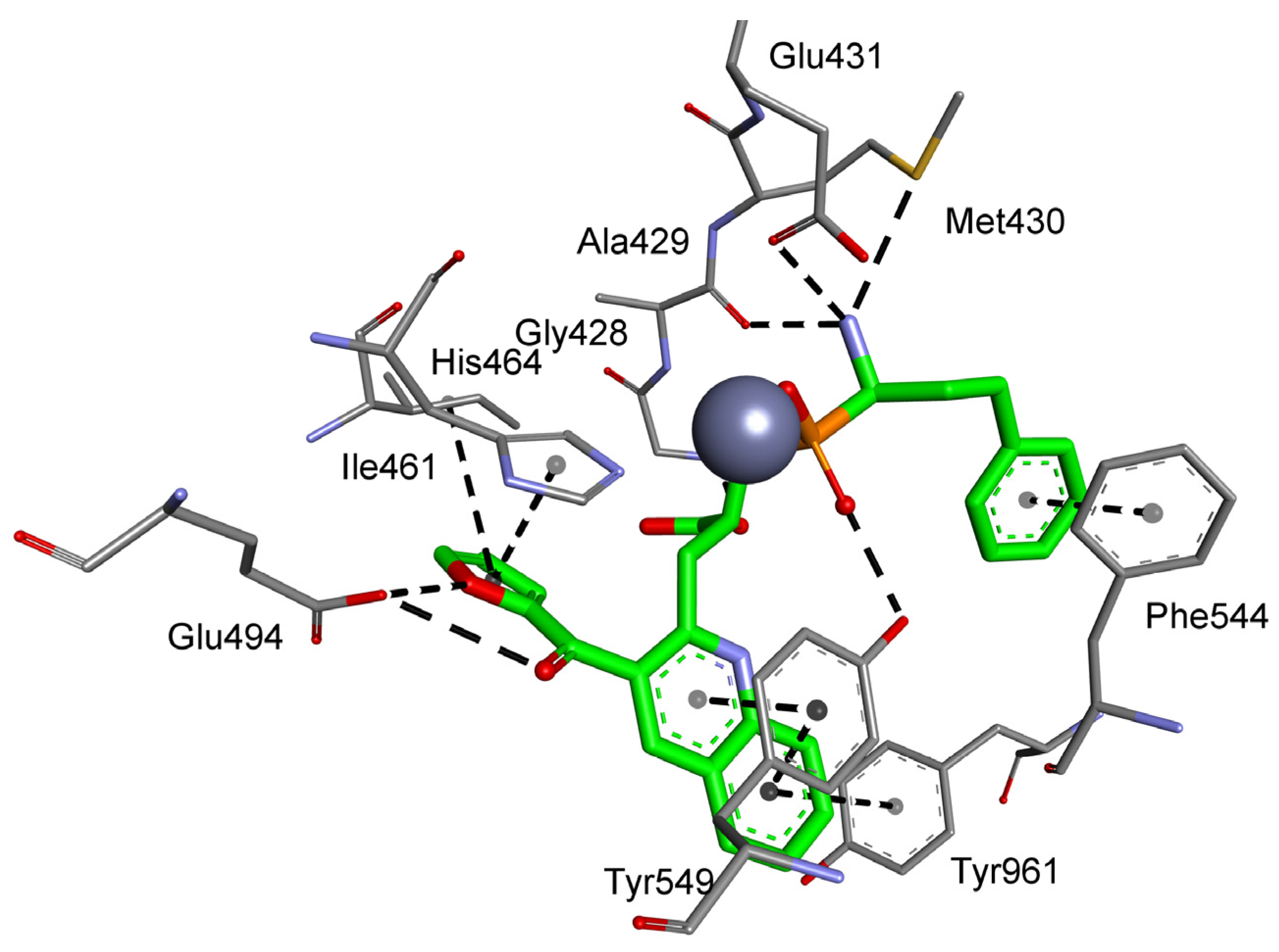 Biomolecules 10 00659 g004 Biomolecules 10 00659 g004