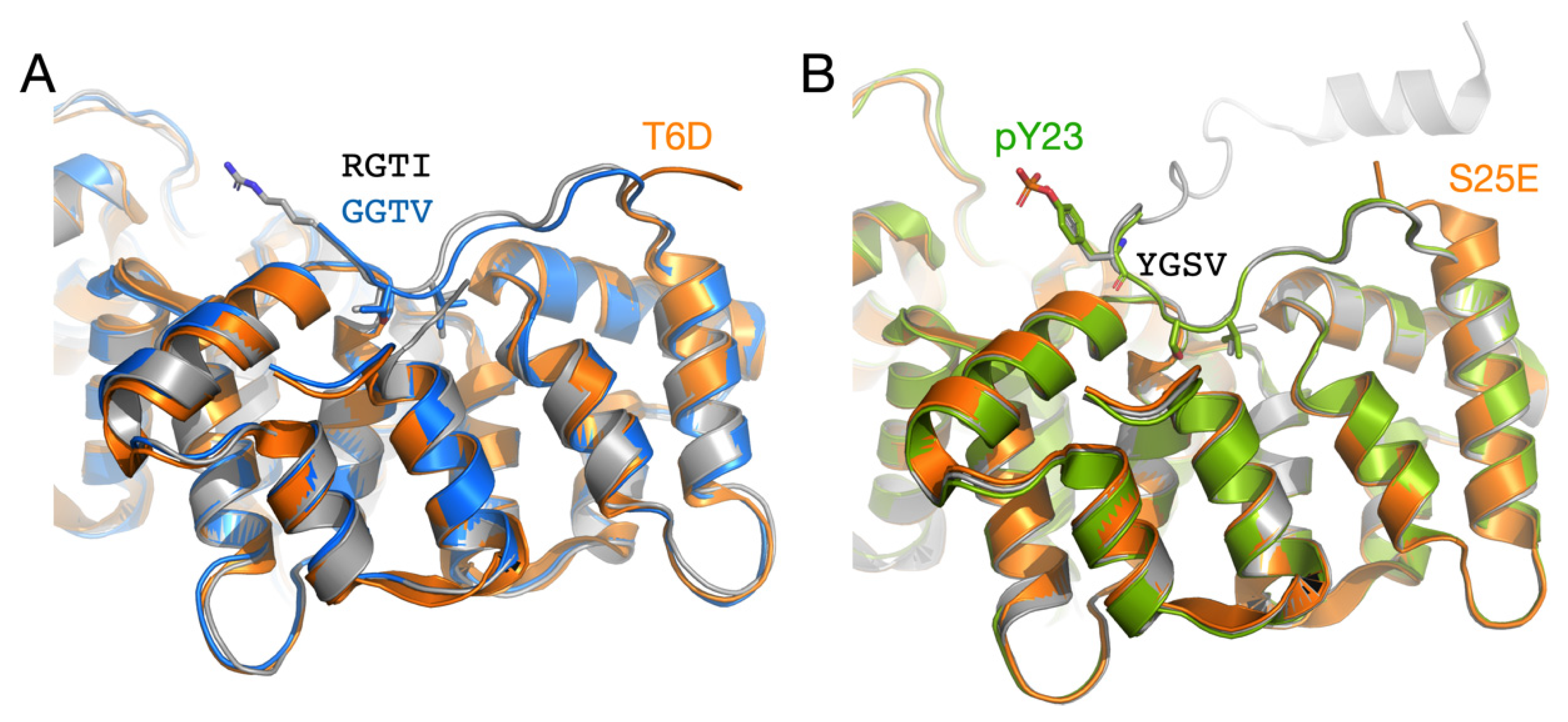 Biomolecules 10 00660 g004