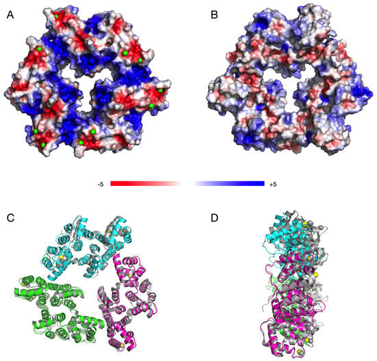 ma... Quinoline-5,8-Dione CDC25 Inhibitors: Potent Anti-Cancer