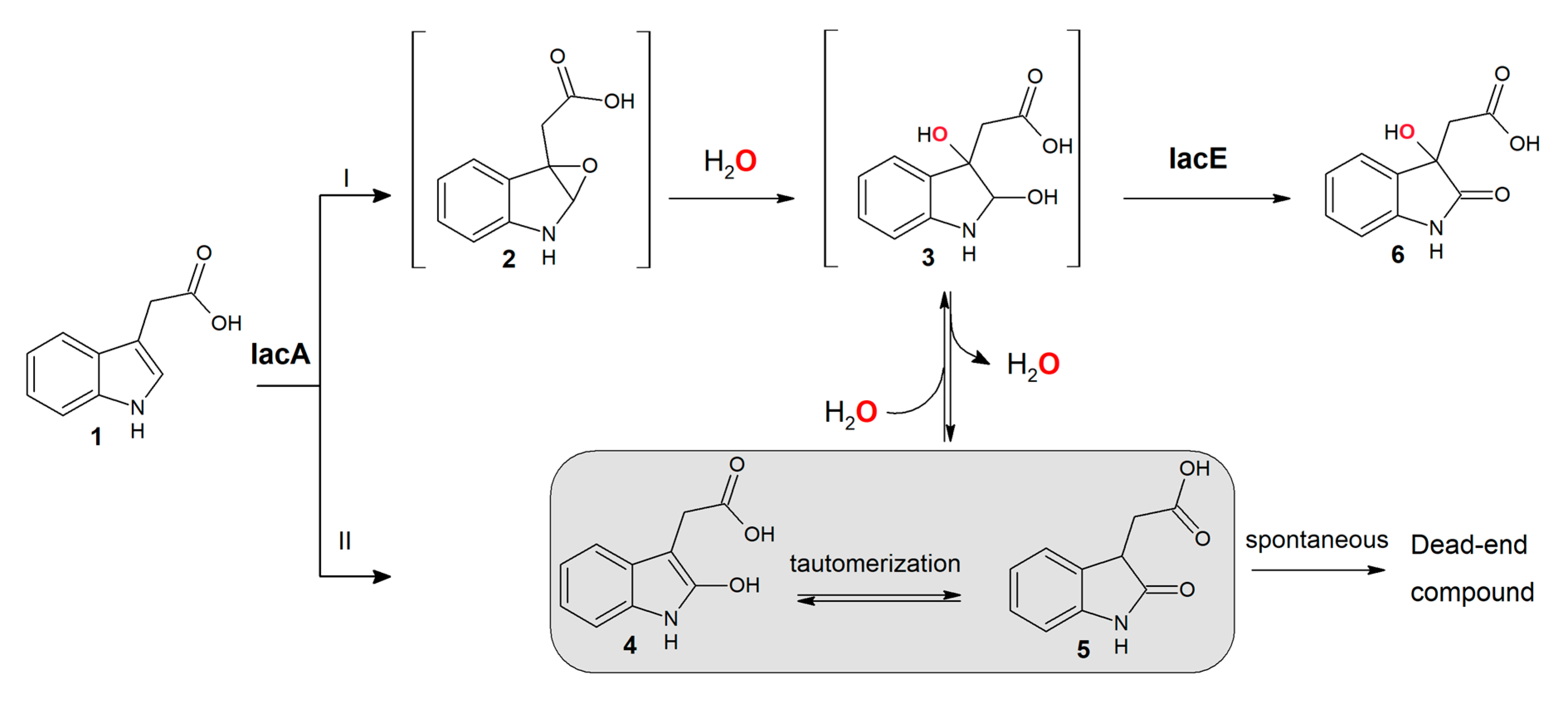 Biomolecules 10 00663 g007