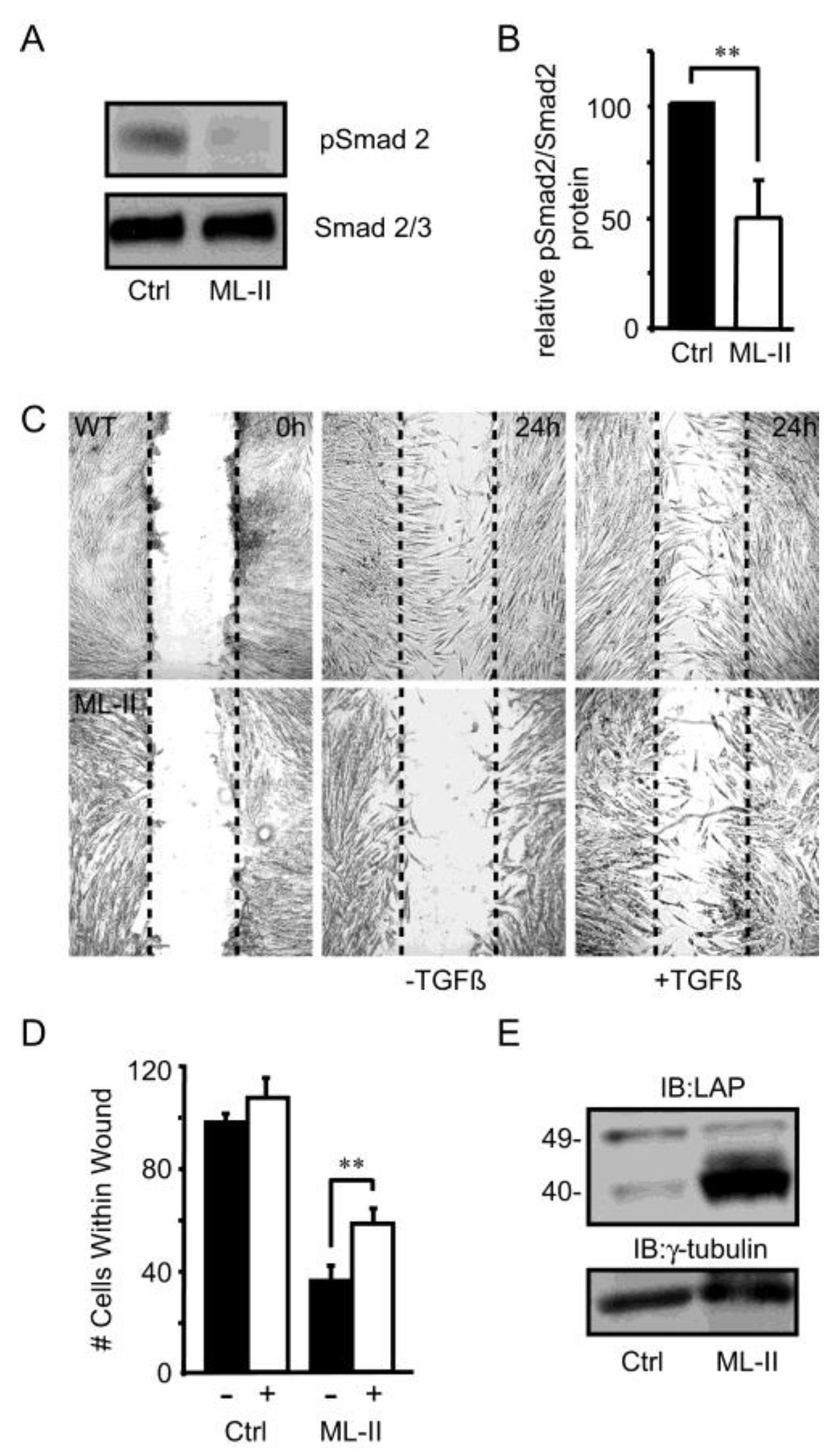 Biomolecules 10 00670 g001 Biomolecules 10 00670 g001