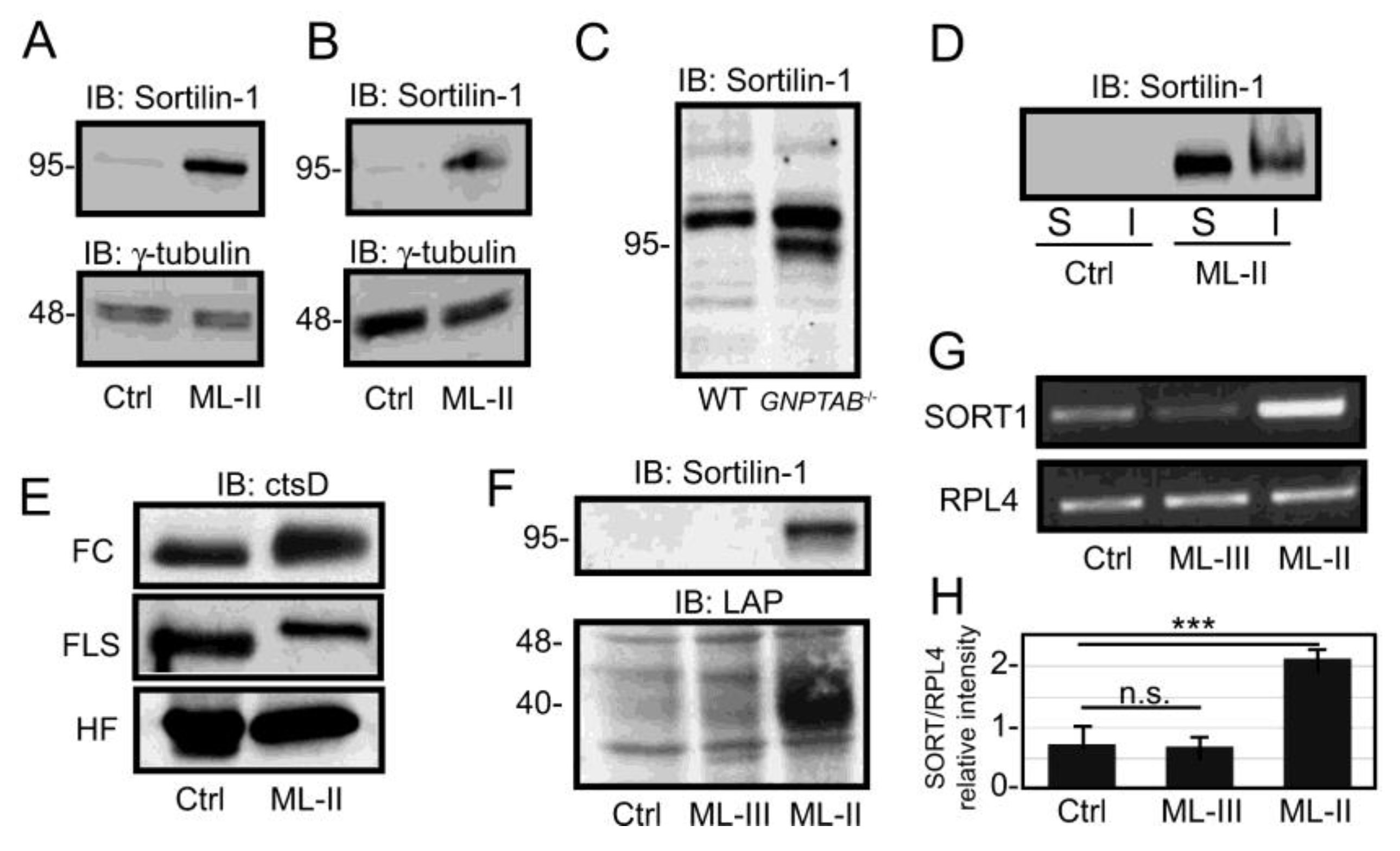 Biomolecules 10 00670 g005 Biomolecules 10 00670 g005