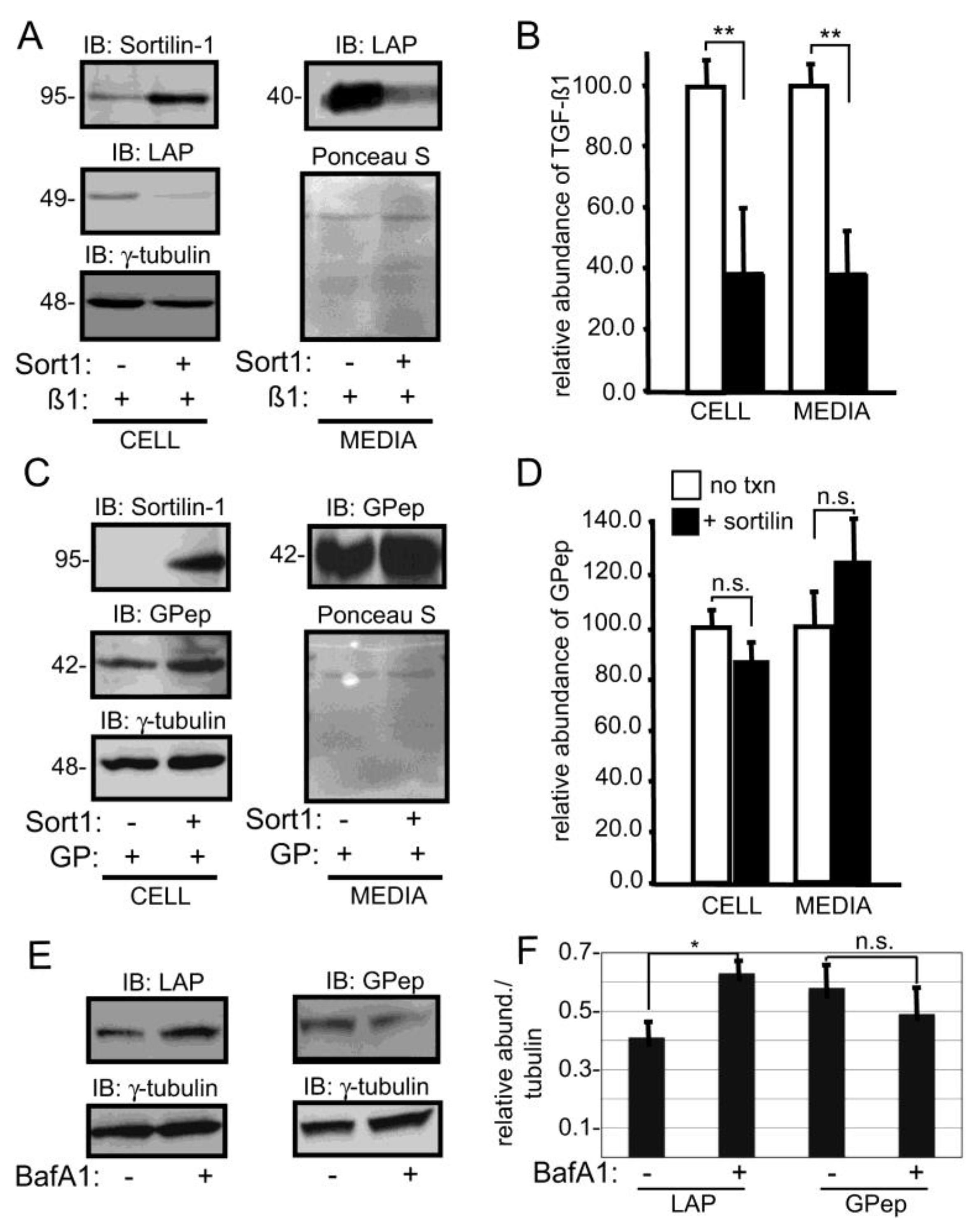 Biomolecules 10 00670 g006 Biomolecules 10 00670 g006