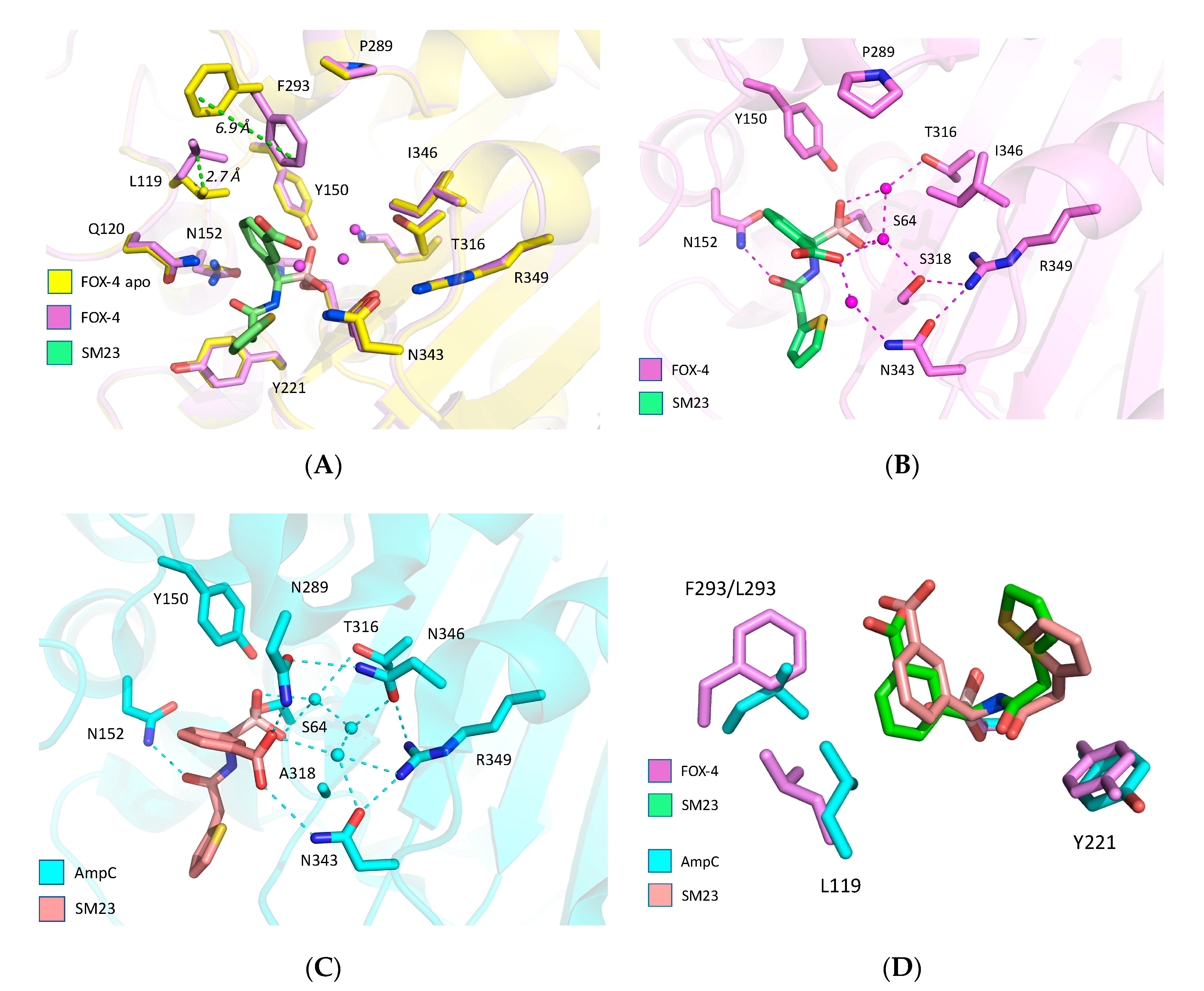 Biomolecules 10 00671 g002a