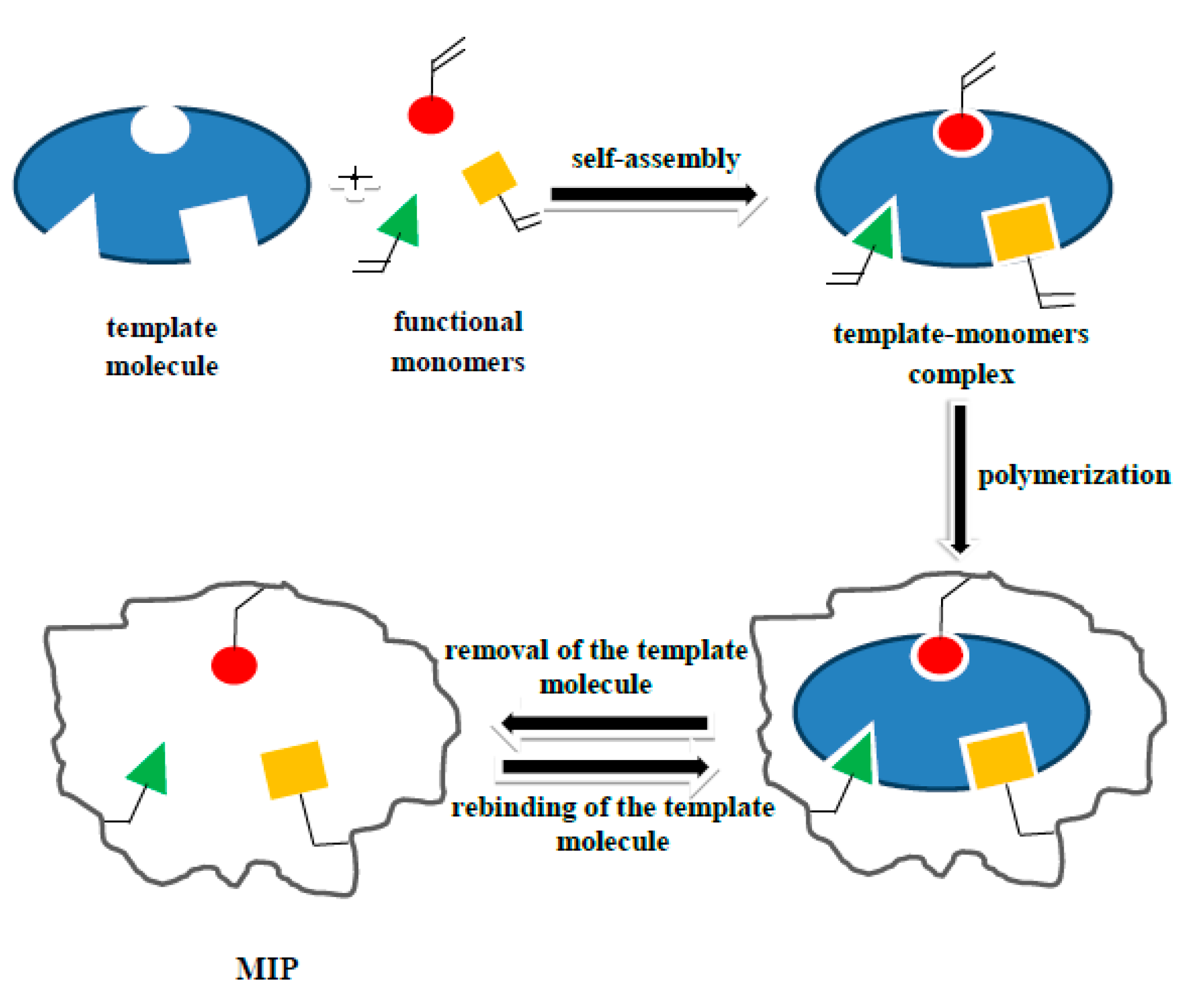 Biomolecules 10 00672 g001 Biomolecules 10 00672 g001