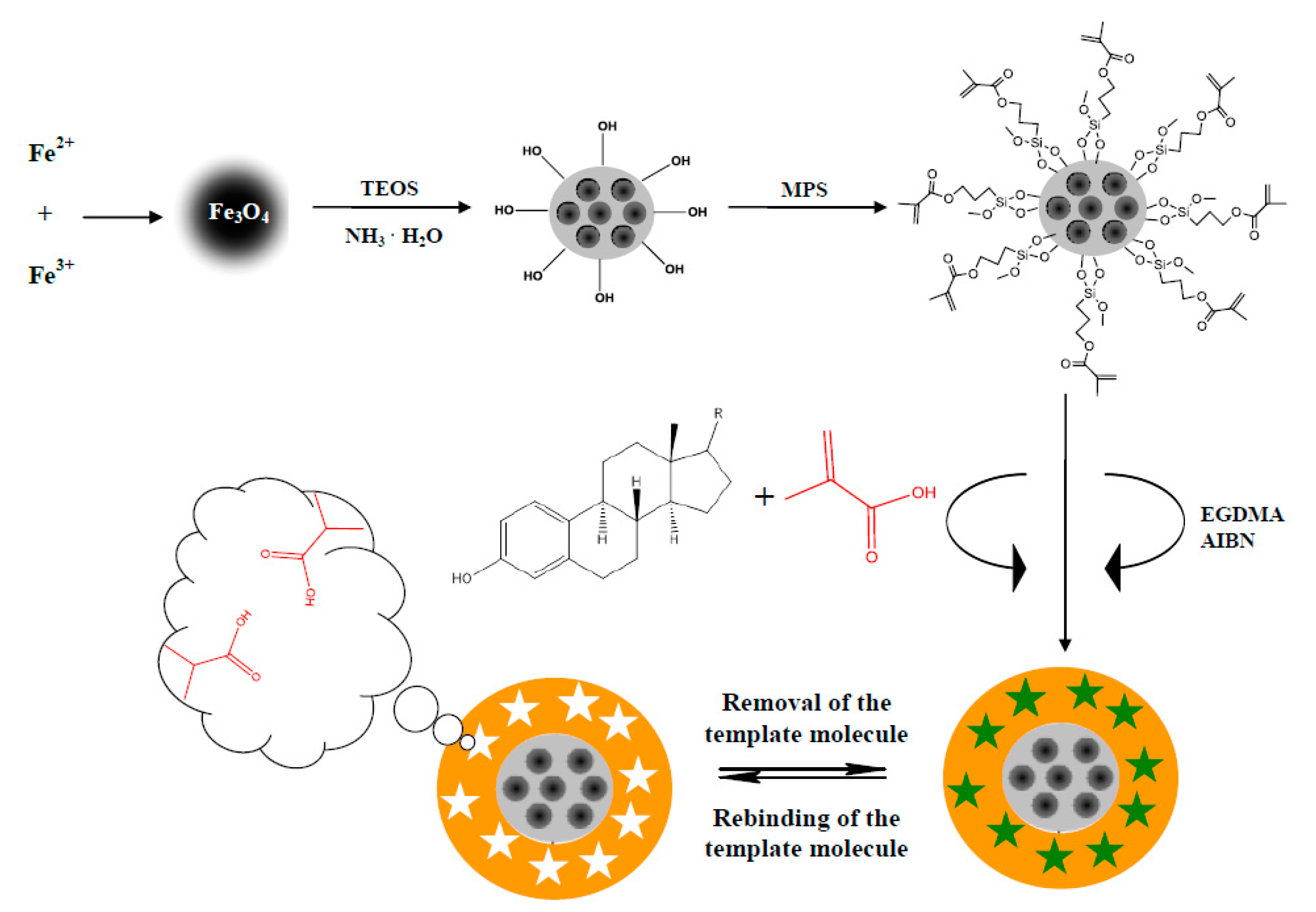 Biomolecules 10 00672 g002 Biomolecules 10 00672 g002
