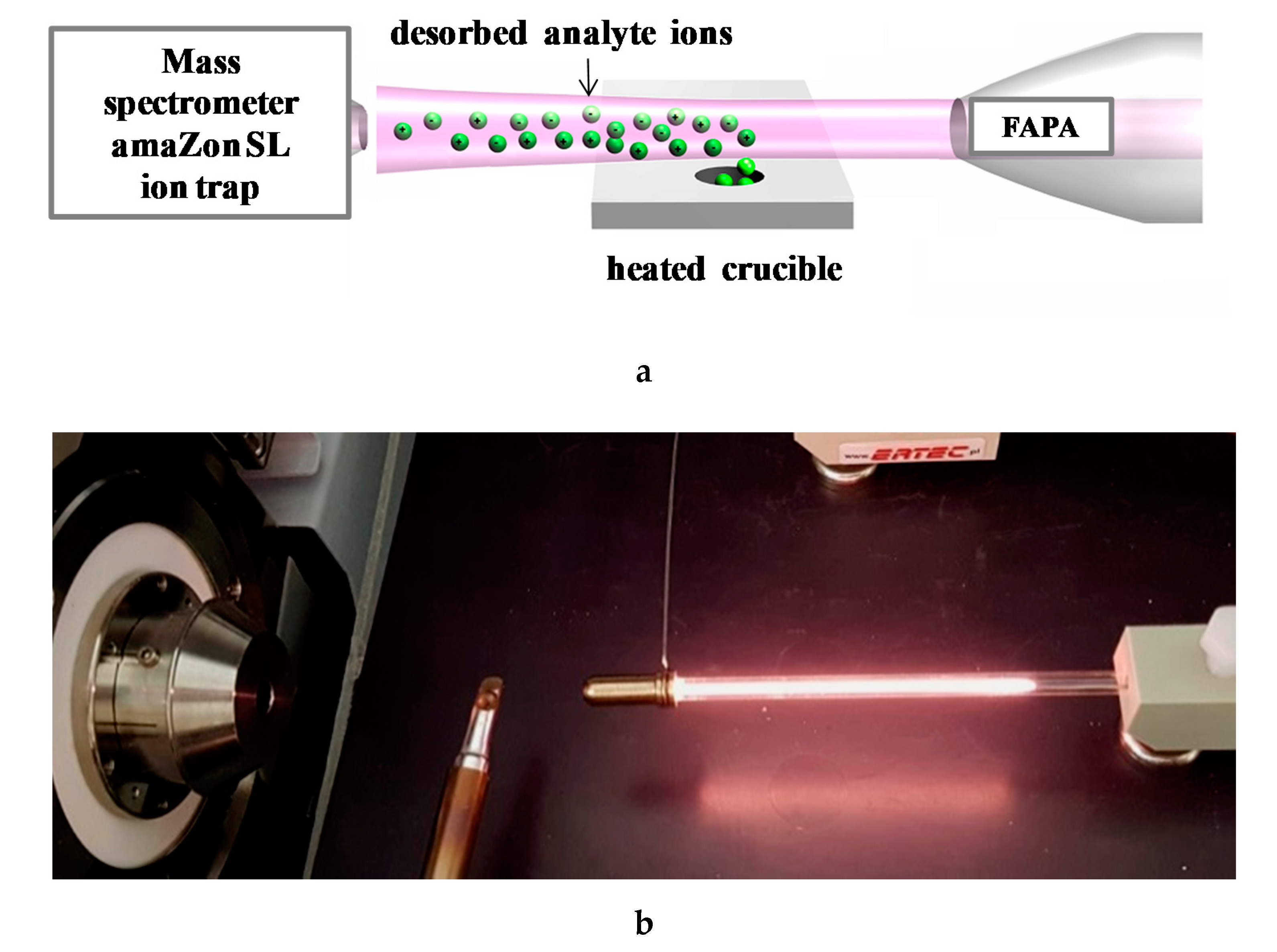 Biomolecules 10 00672 g009 Biomolecules 10 00672 g009