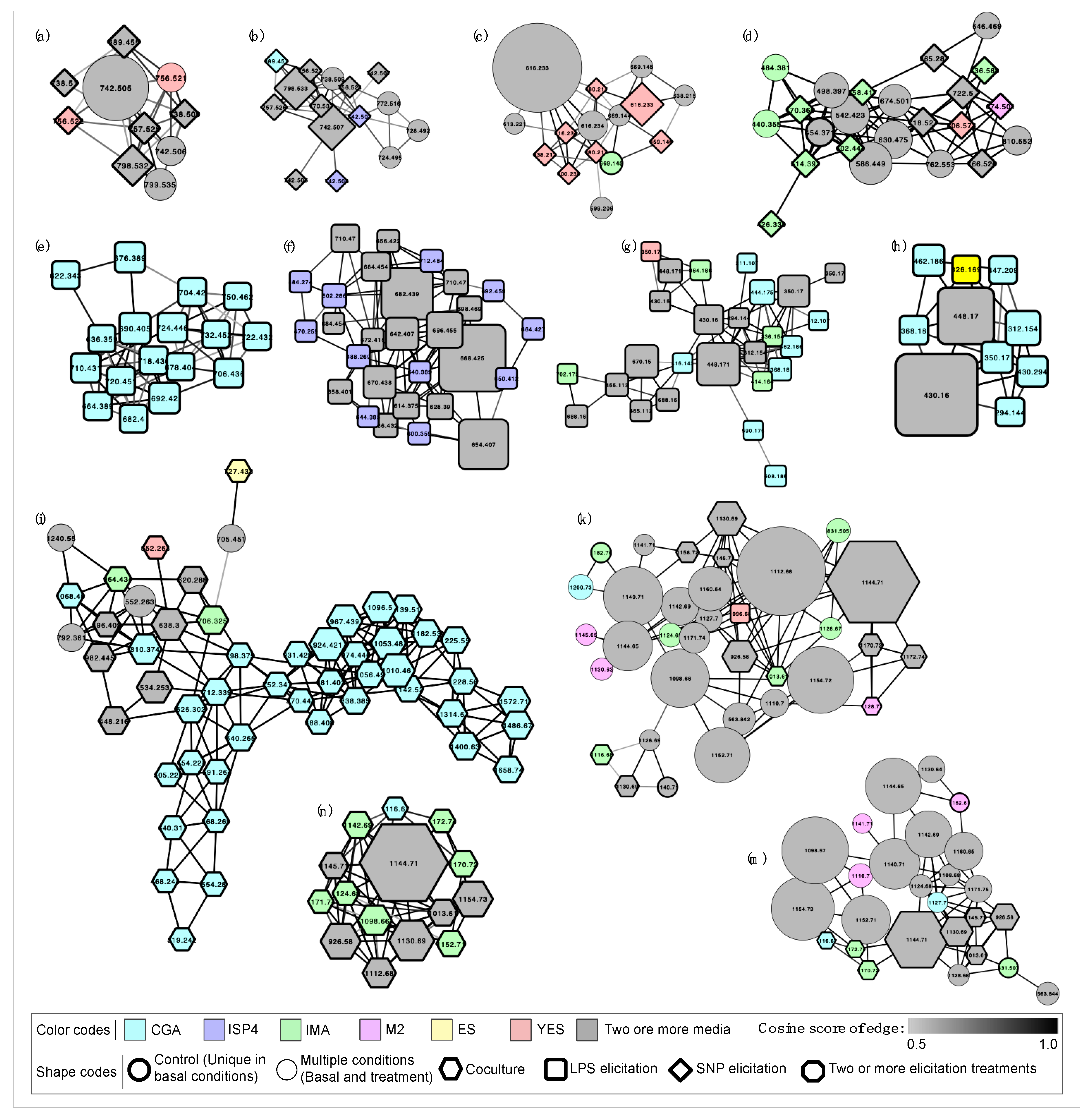 Biomolecules 10 00673 g003 Biomolecules 10 00673 g003