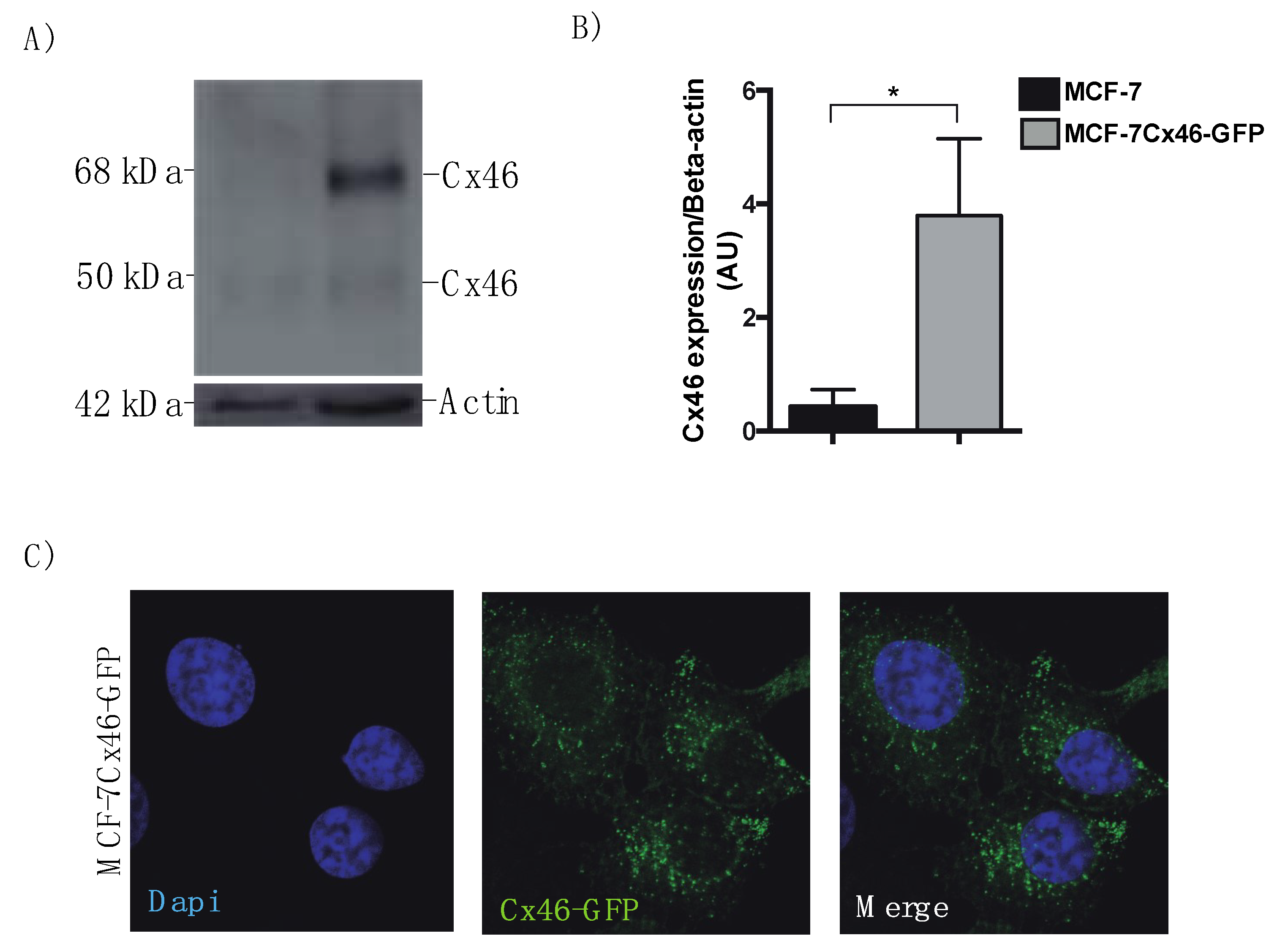 Biomolecules 10 00676 g001 Biomolecules 10 00676 g001