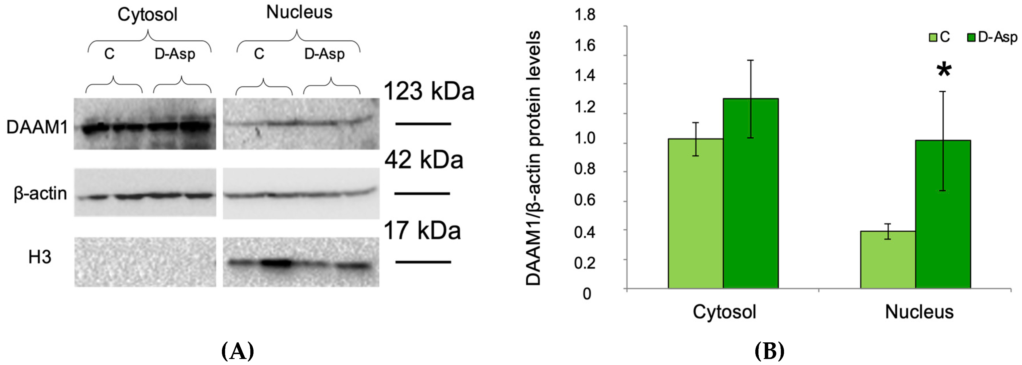 Biomolecules 10 00677 g003 Biomolecules 10 00677 g003