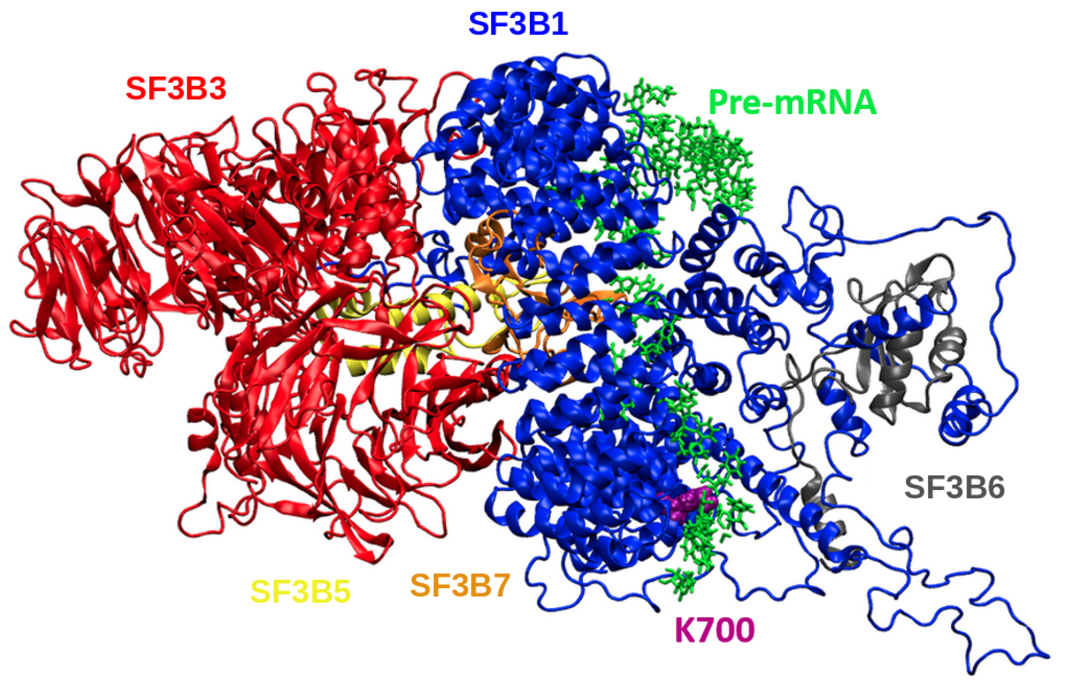 Biomolecules 10 00680 g008 Biomolecules 10 00680 g008