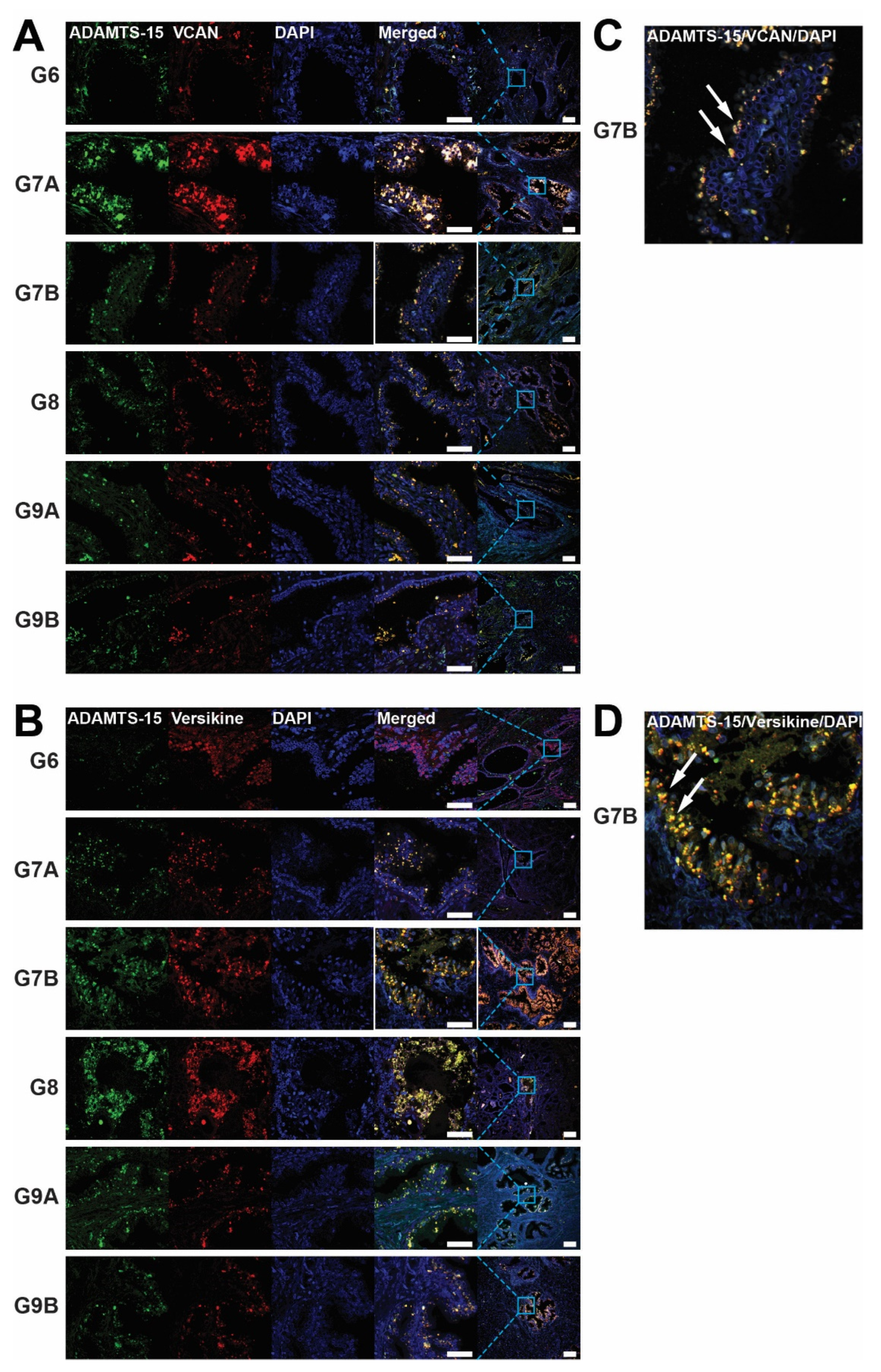 Biomolecules 10 00682 g001