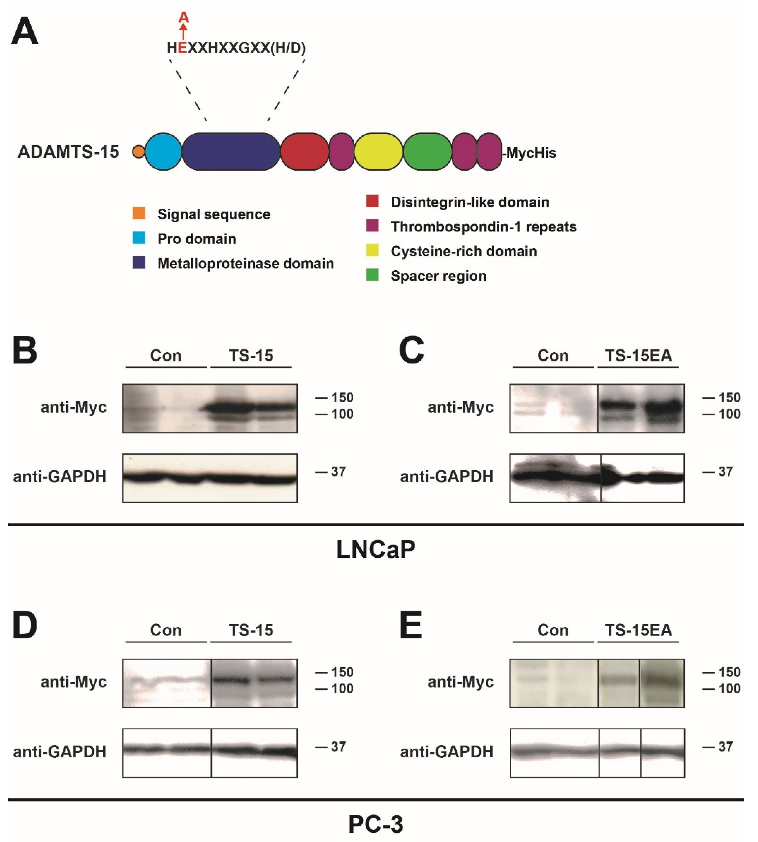Biomolecules 10 00682 g003