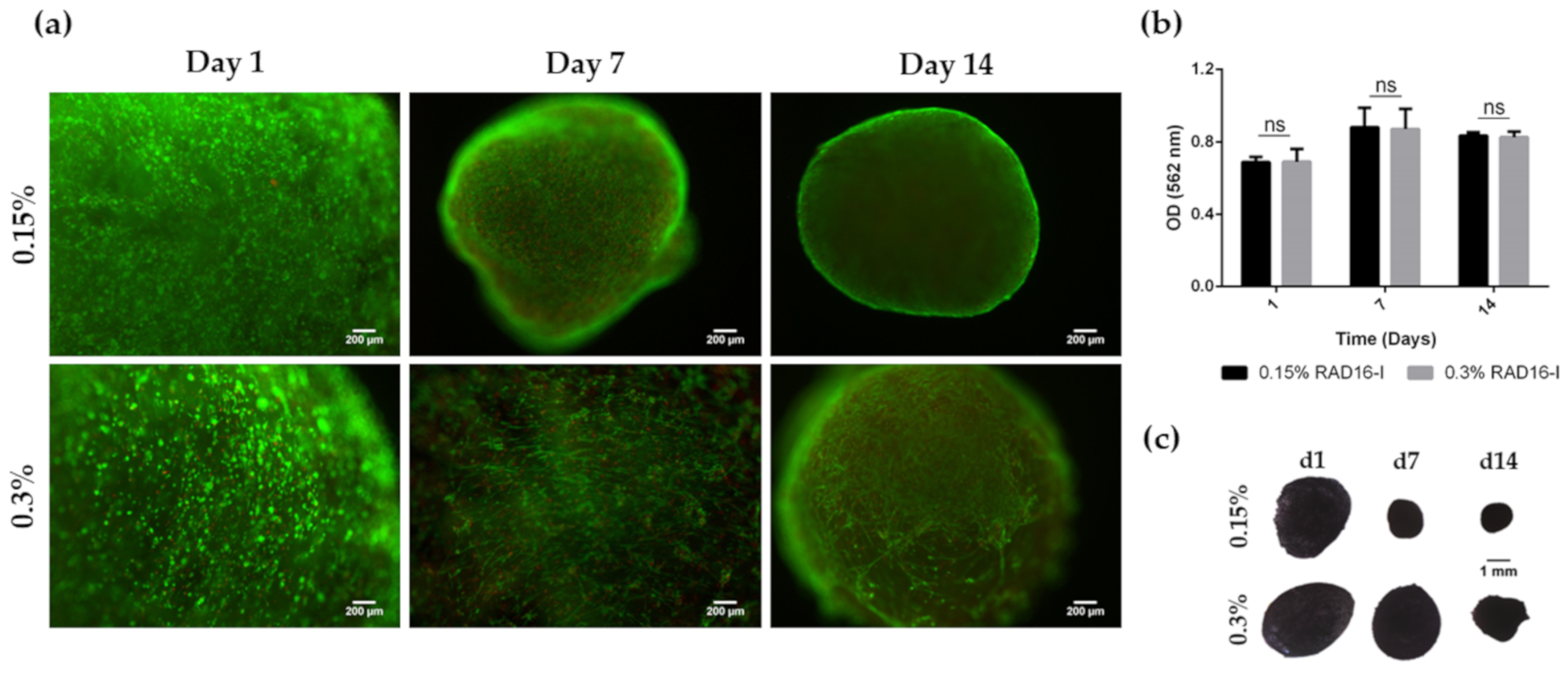 Biomolecules 10 00684 g003