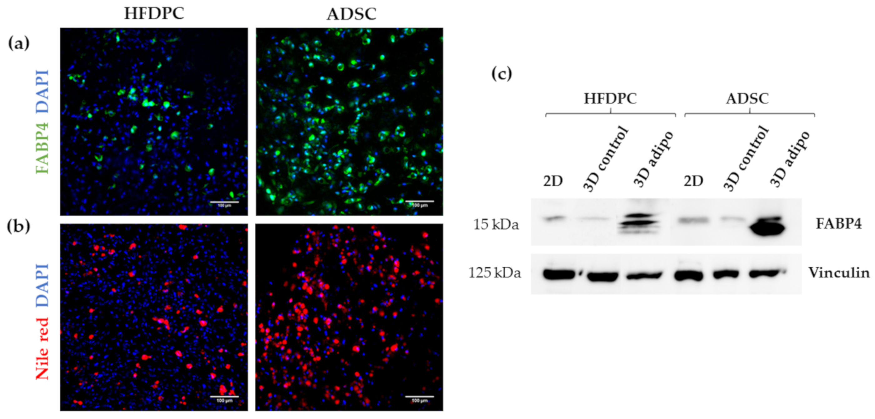 Biomolecules 10 00684 g009