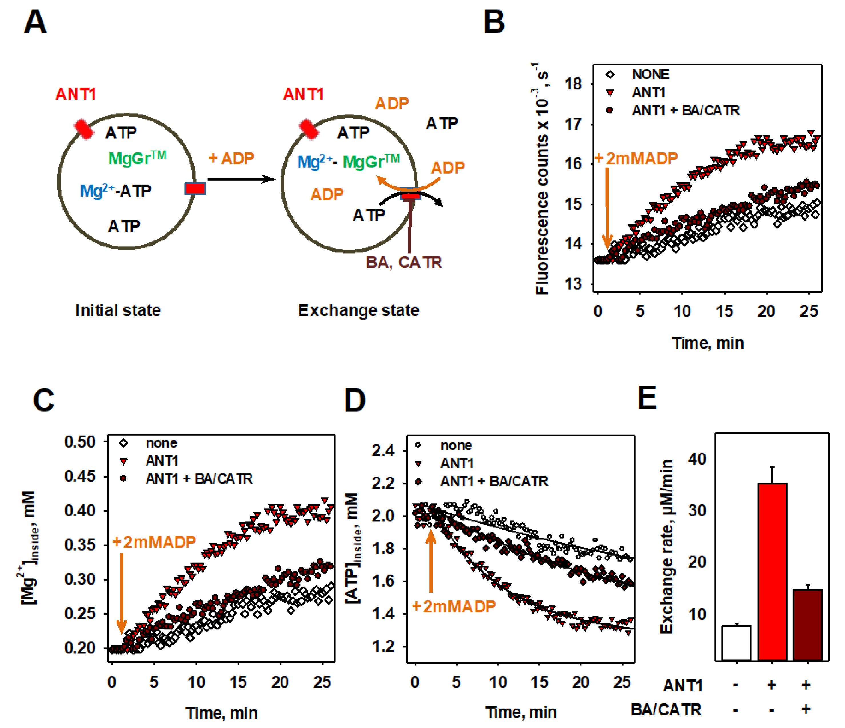 Biomolecules 10 00685 g002
