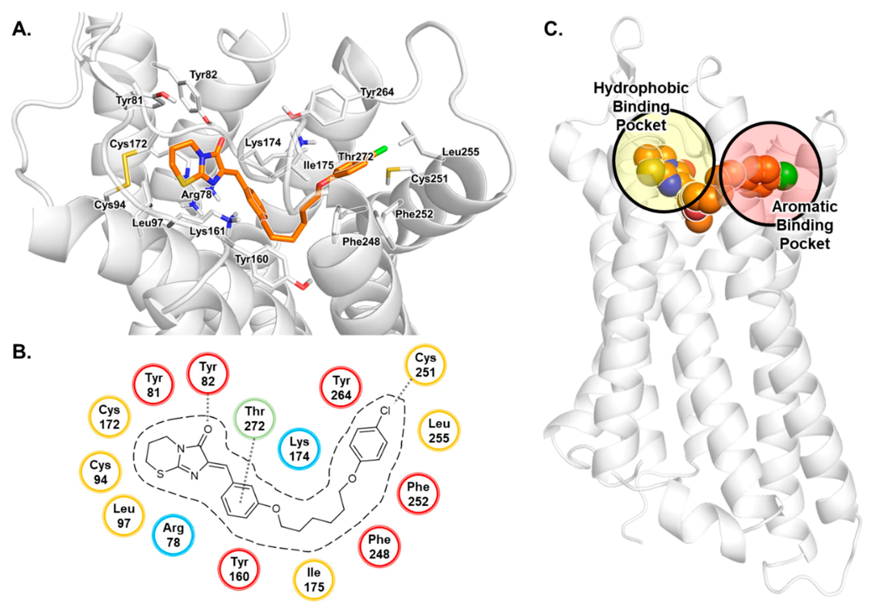 Biomolecules 10 00686 g002 Biomolecules 10 00686 g002