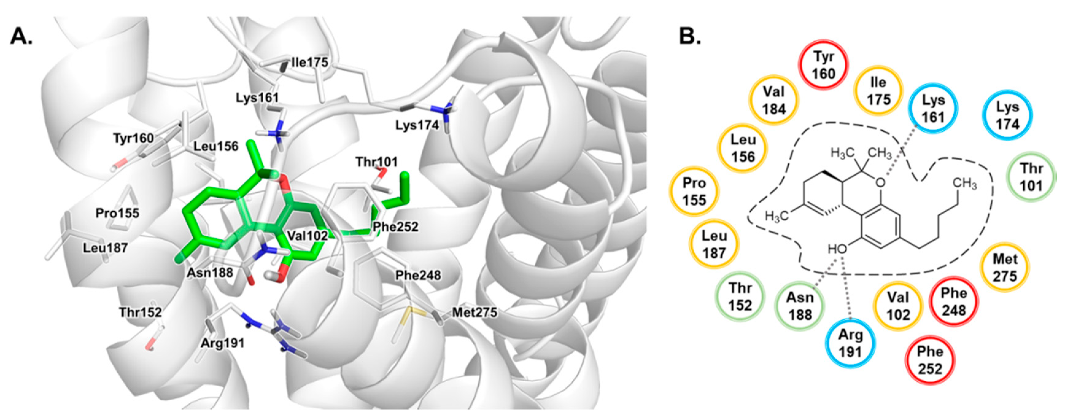 Biomolecules 10 00686 g008 Biomolecules 10 00686 g008
