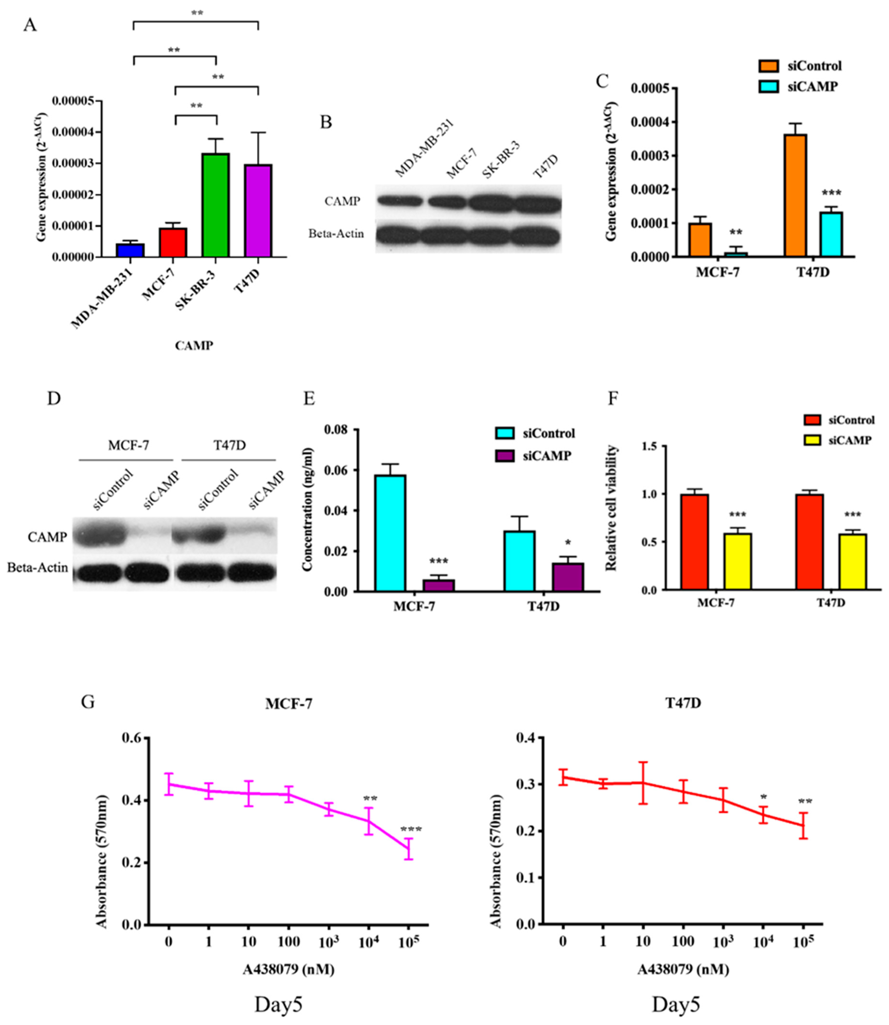 Biomolecules 10 00688 g002 Biomolecules 10 00688 g002