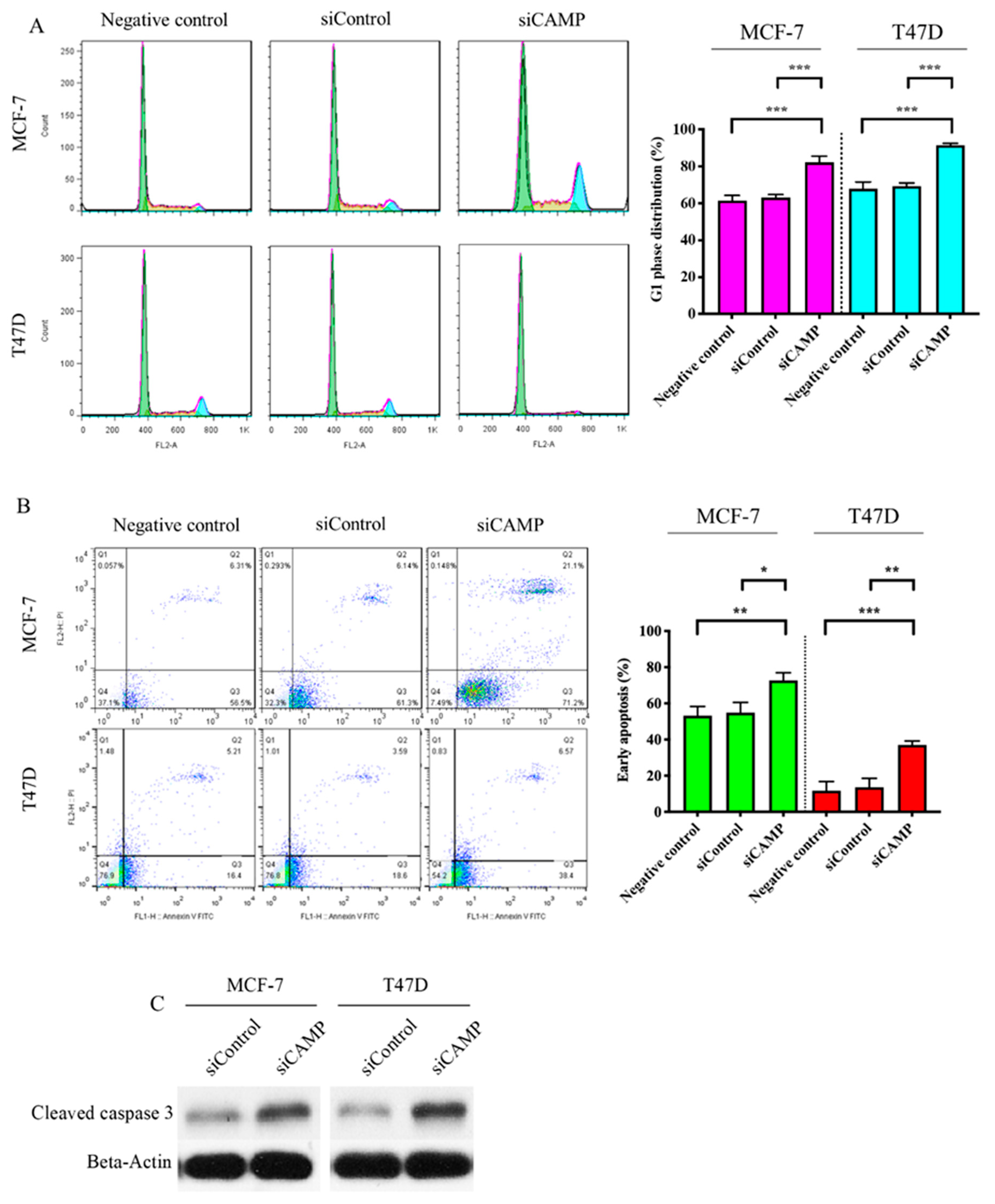 Biomolecules 10 00688 g003 Biomolecules 10 00688 g003