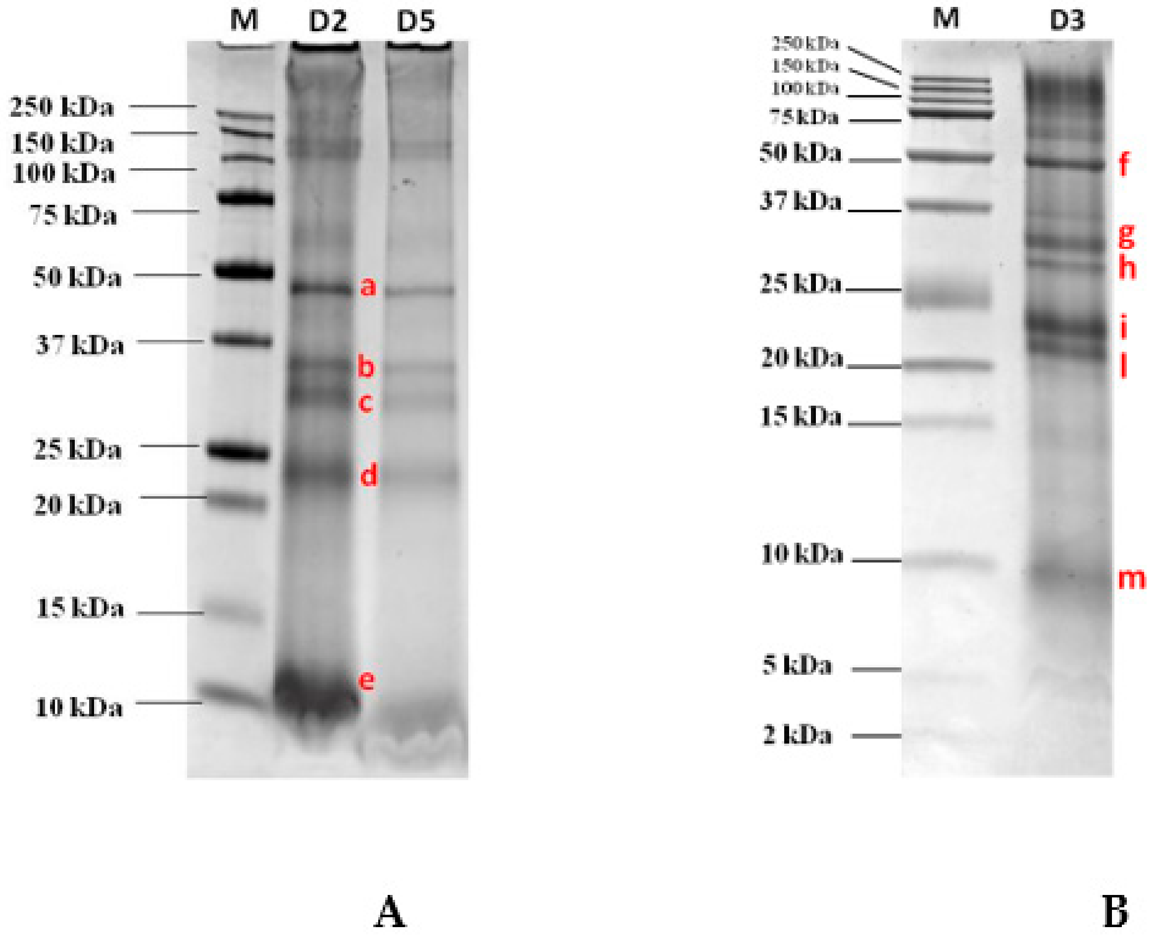 Biomolecules 10 00689 g001